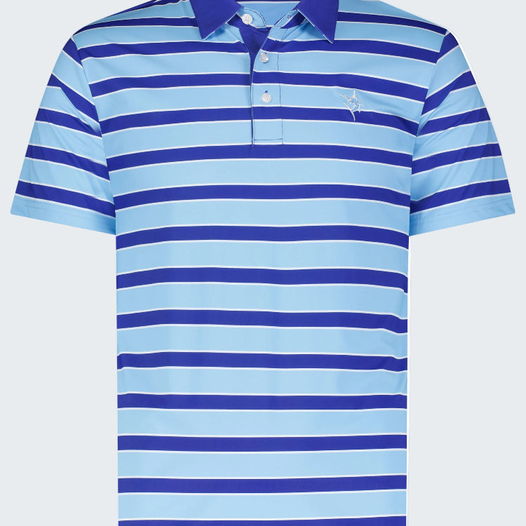 Blue and light blue striped polo shirt on a white background