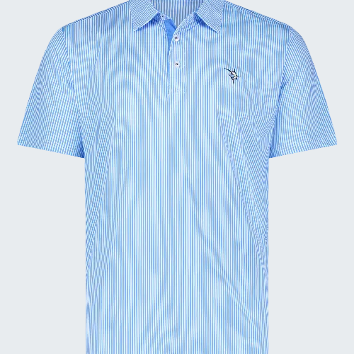 Blue striped polo shirt with a small logo on a white background