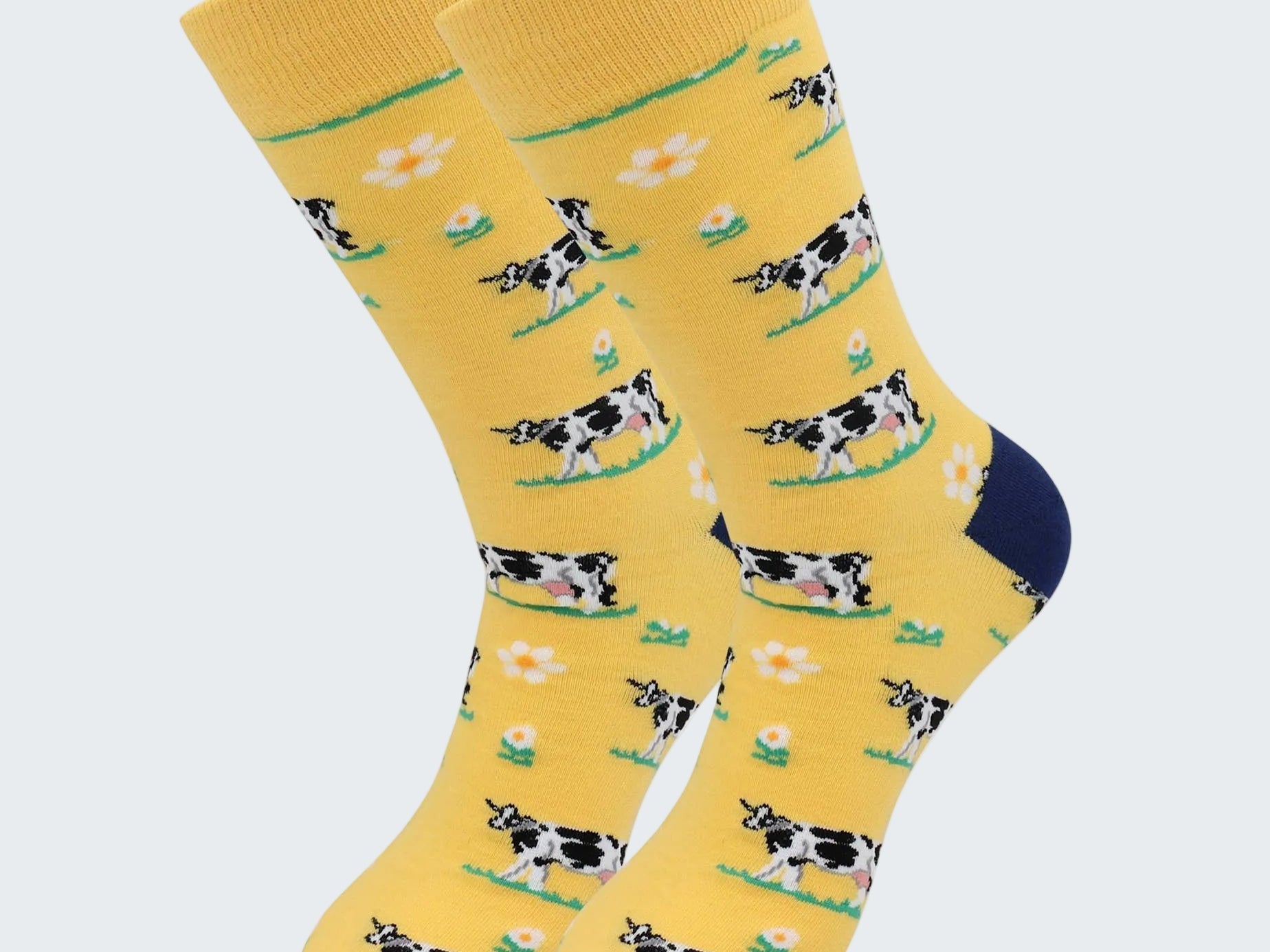 Yellow socks with cow pattern on a white background