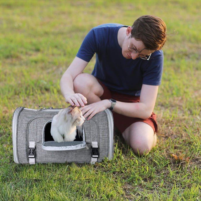 Person petting a cat inside a gray pet carrier in a grassy field