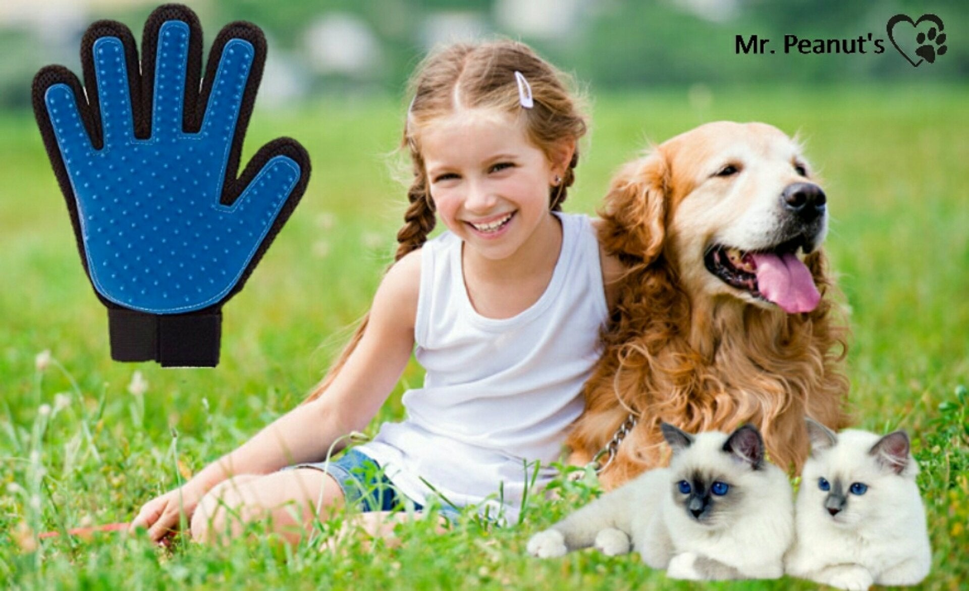 Girl with a dog and two cats on grass, with a blue grooming glove overlay.