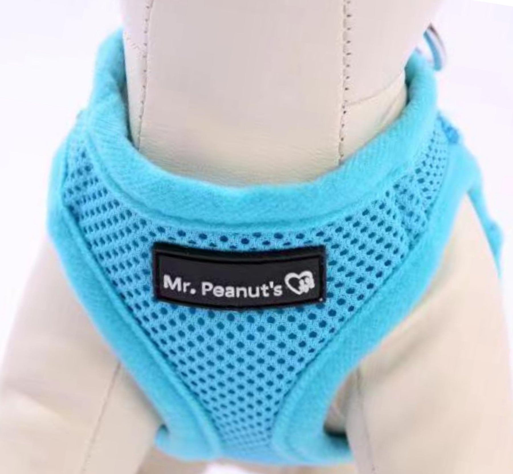 Blue pet harness with 'Mr. Peanut's' label on a mannequin