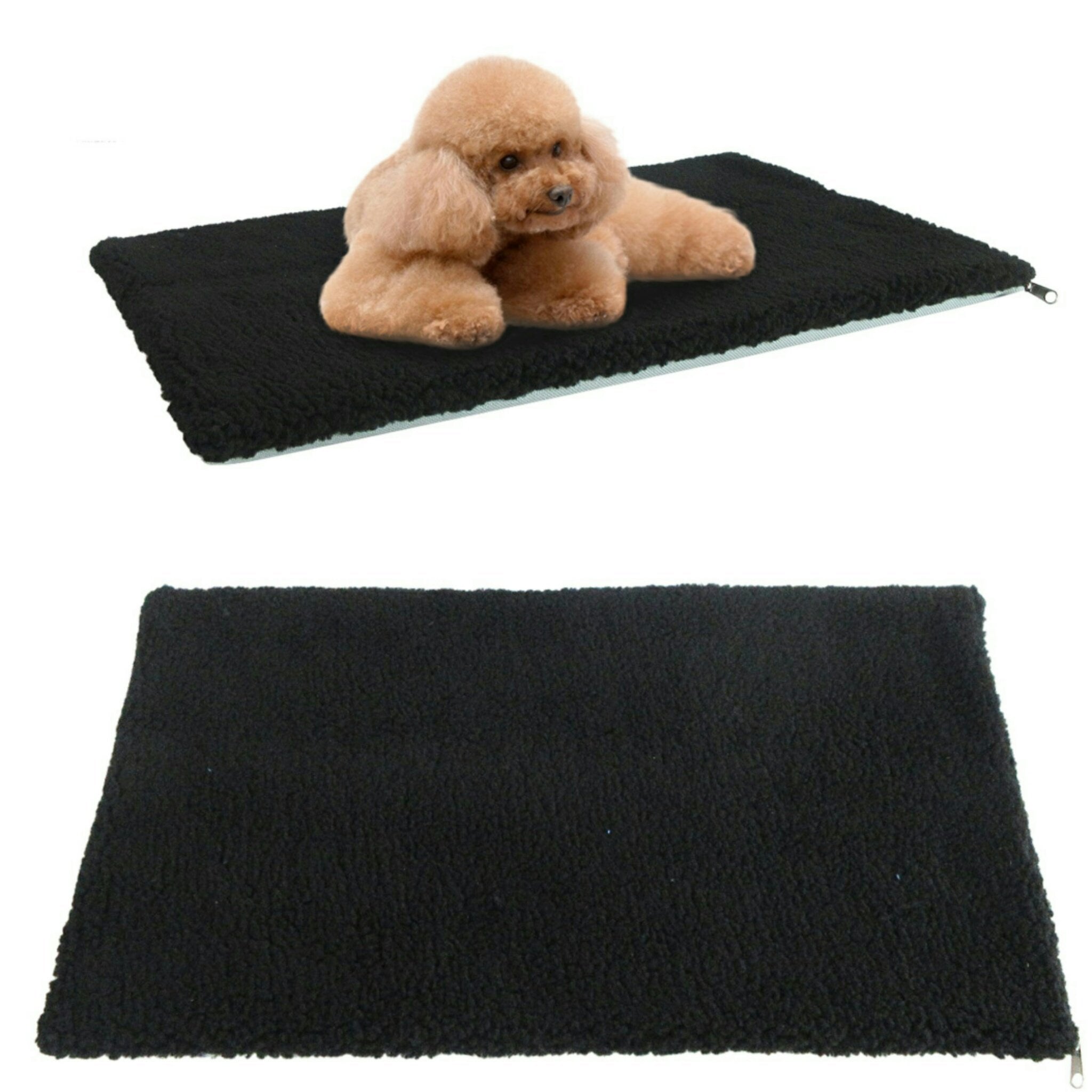 Black pet mat with a small brown dog lying on it against a white background