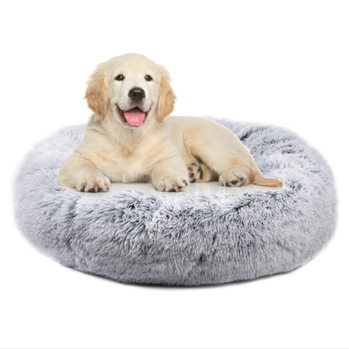 Dog lying on a fluffy gray pet bed with a white background