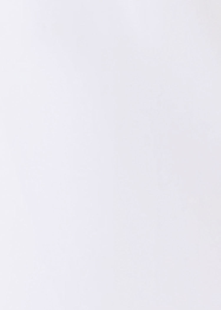 Solid light gray color swatch