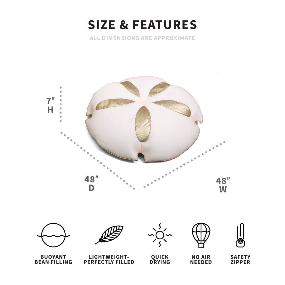 Big Joe Sand Dollar