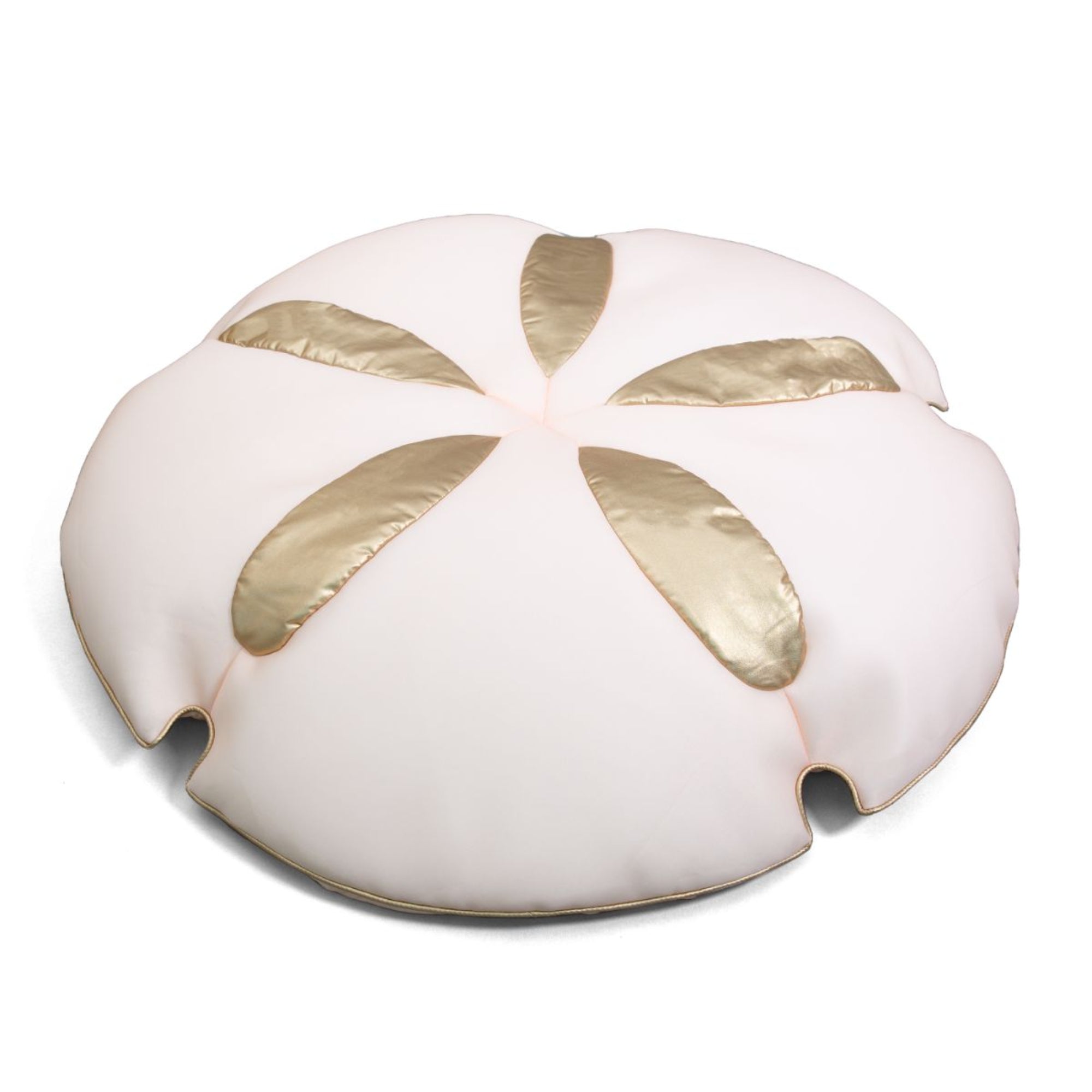 Big Joe Sand Dollar