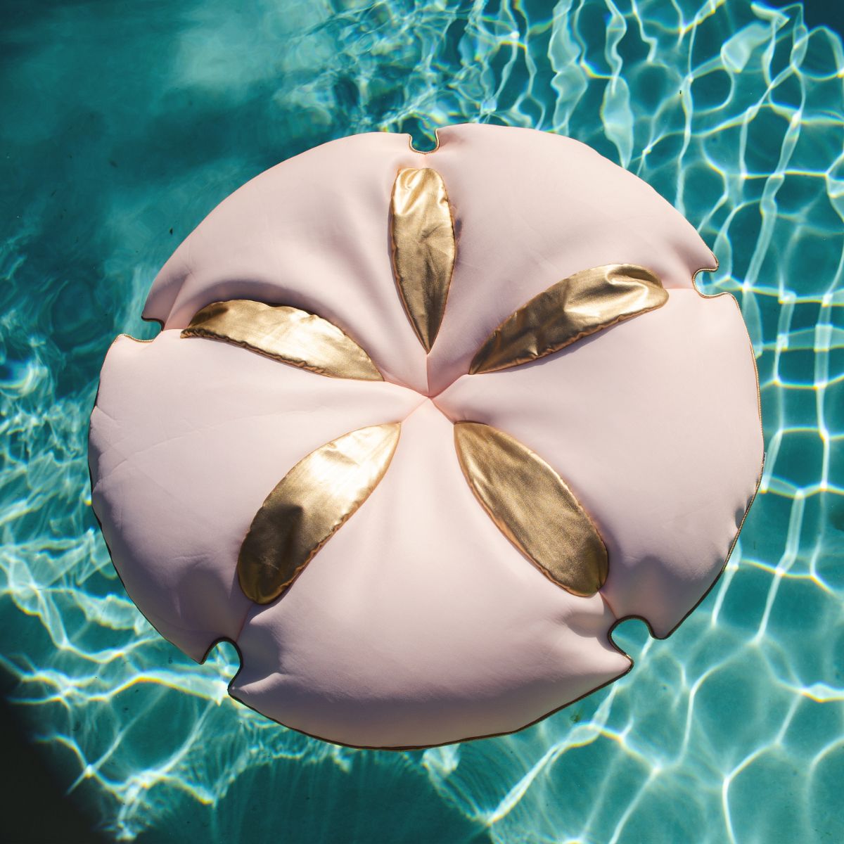 Big Joe Sand Dollar