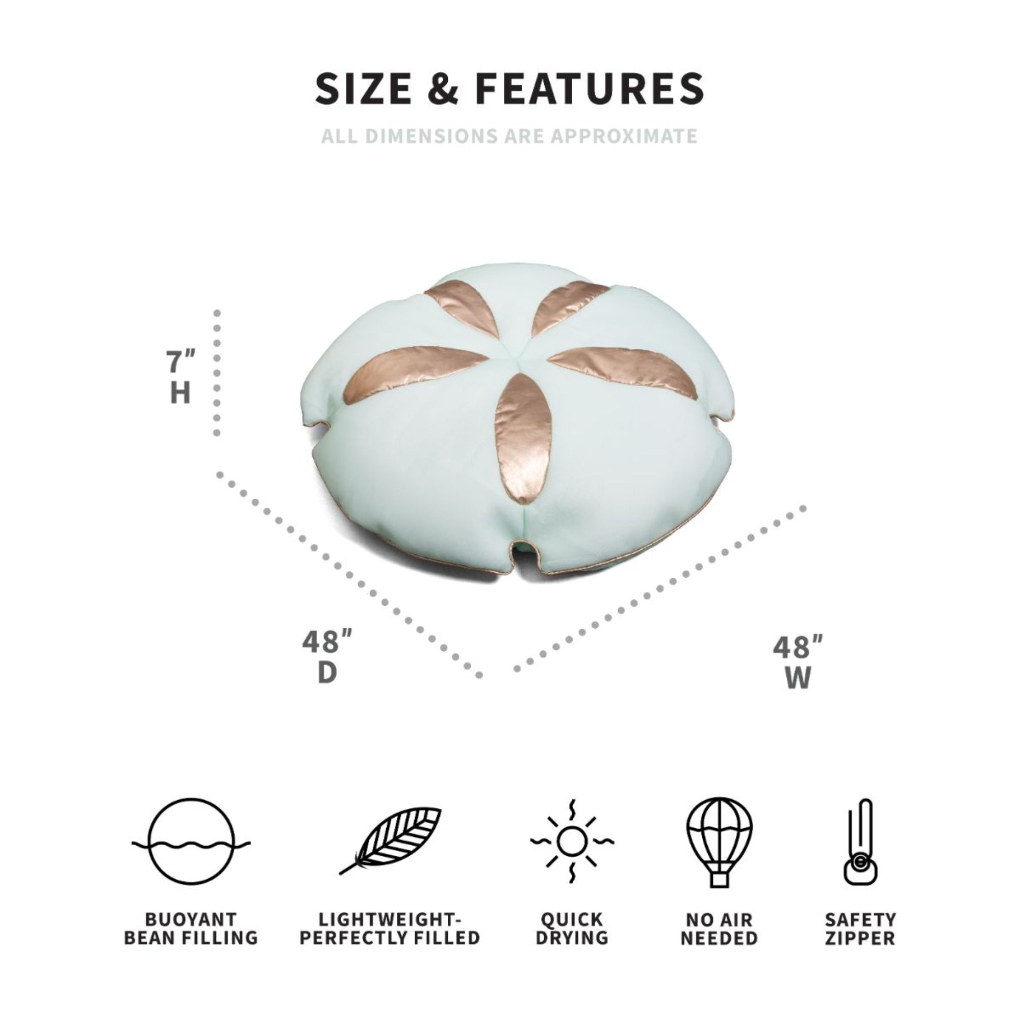 Big Joe Sand Dollar