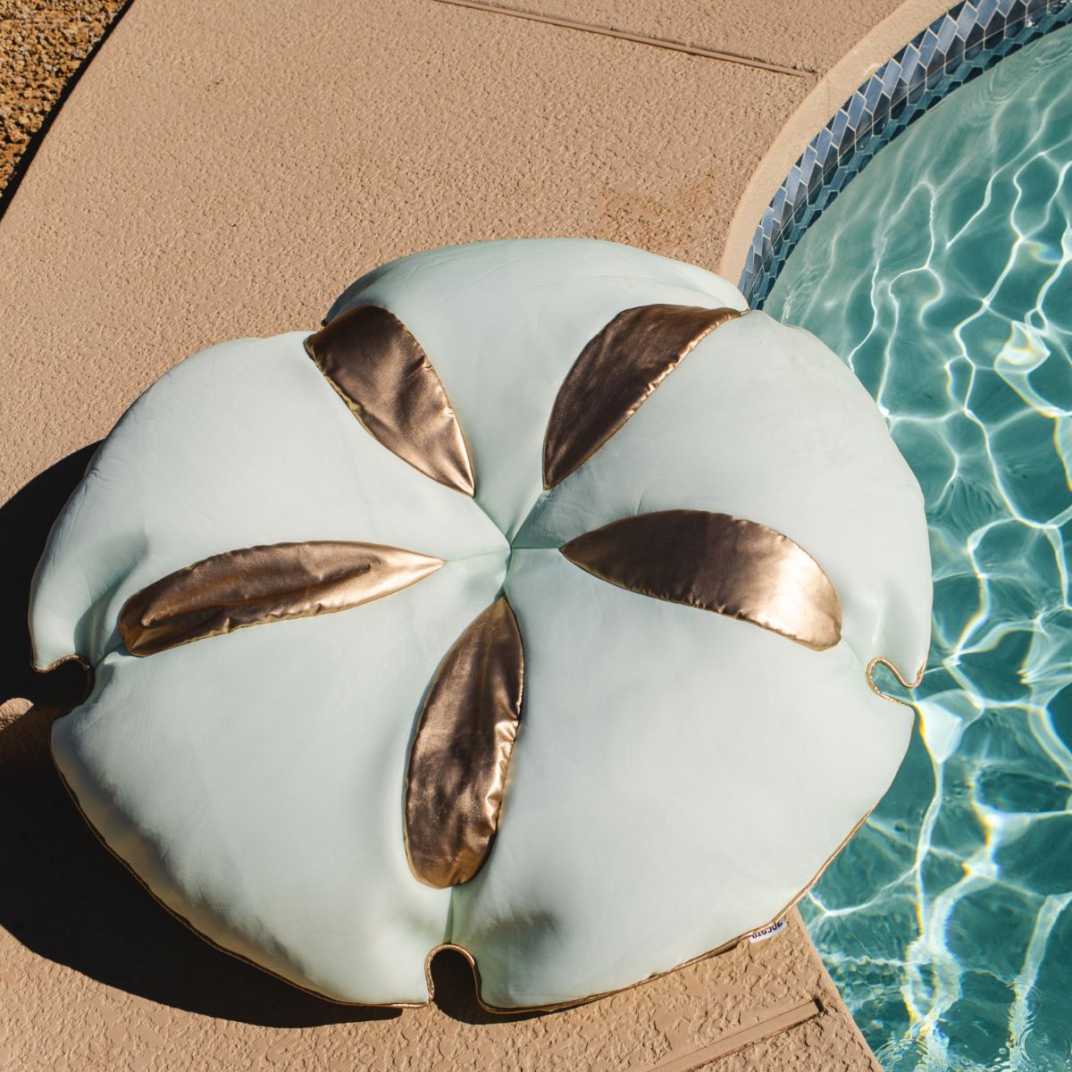 Big Joe Sand Dollar