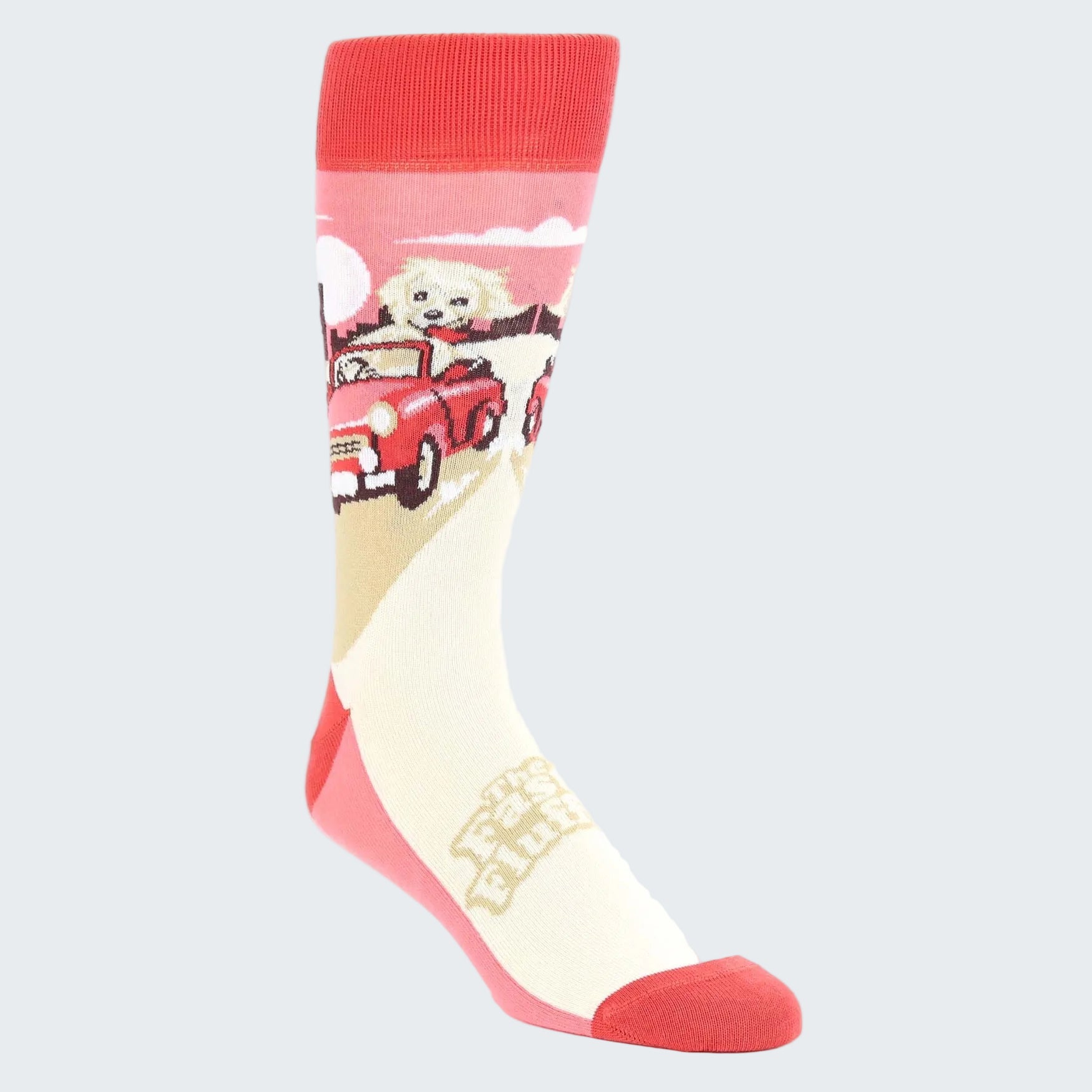 Sock with a dog driving a car design on a white background