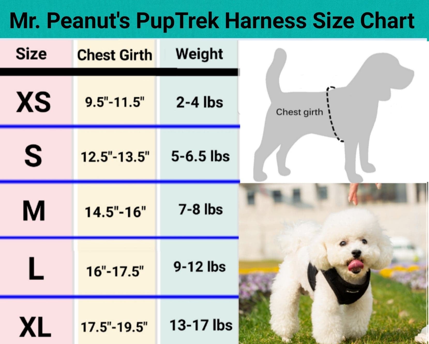 Mr. Peanut's PupTrek Harness Size Chart with a dog and measurement guide.