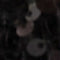 A close-up, low-resolution view of a dark brown textured surface, possibly a leather or suede material, with a small, indistinct light-colored object at the top center.