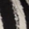 A close-up of a black and white zebra-patterned fabric, showing alternating vertical stripes.