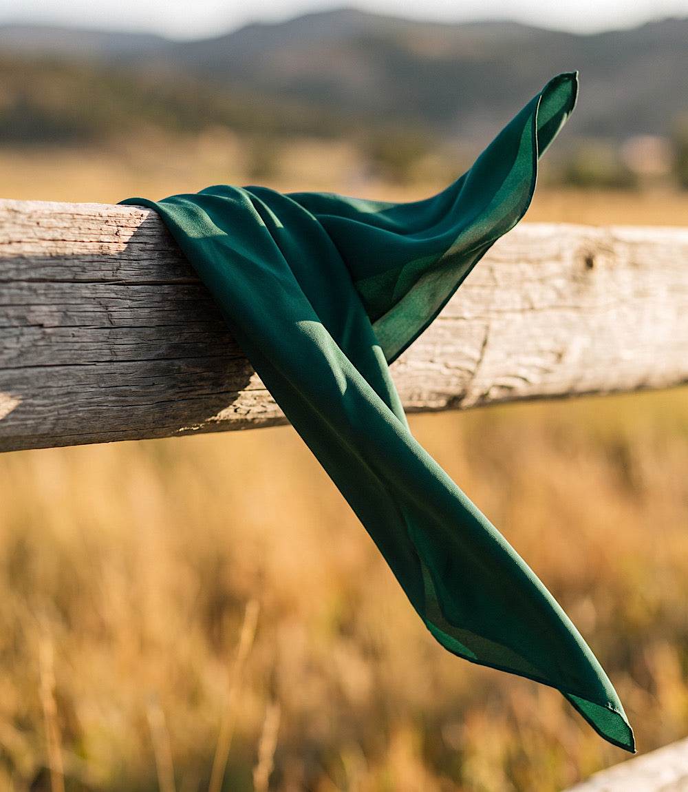 A dark green silk scarf draped over a rustic wooden fence rail, set against a blurred outdoor background of dry grass and distant hills.