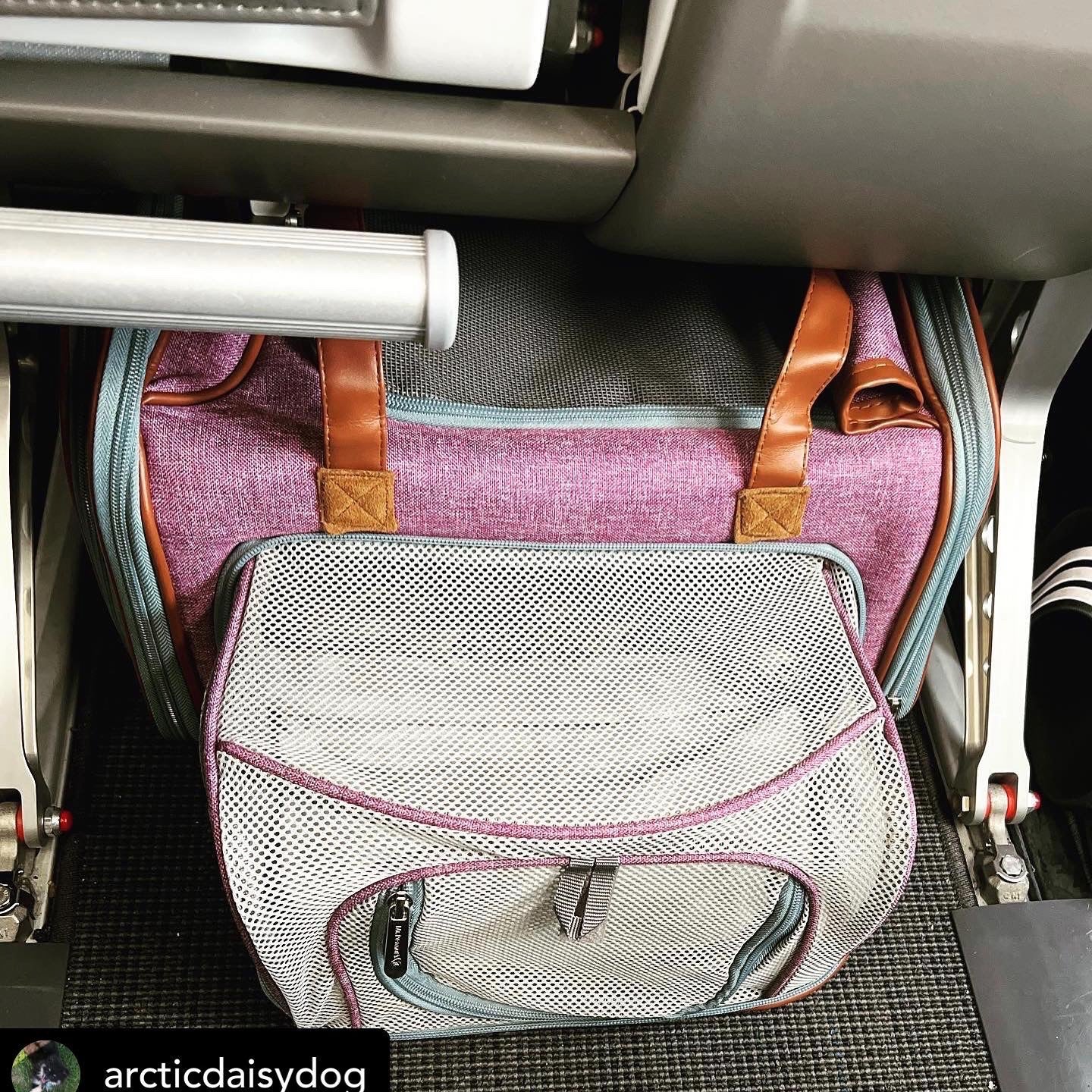 Two bags, a gray mesh bag and a purple duffel bag with brown handles, inside a vehicle.