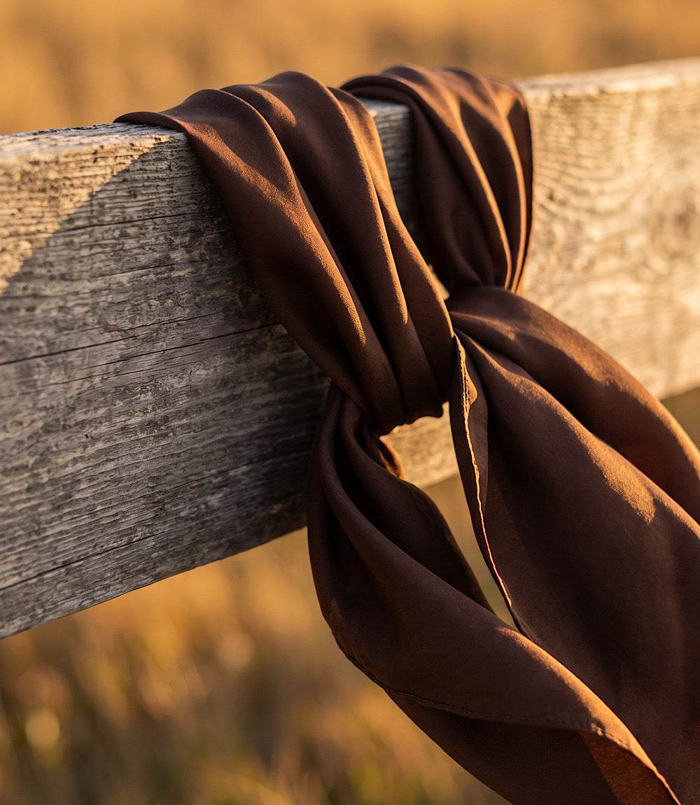 A dark brown silk scarf draped over a weathered wooden fence in warm golden-hour sunlight.