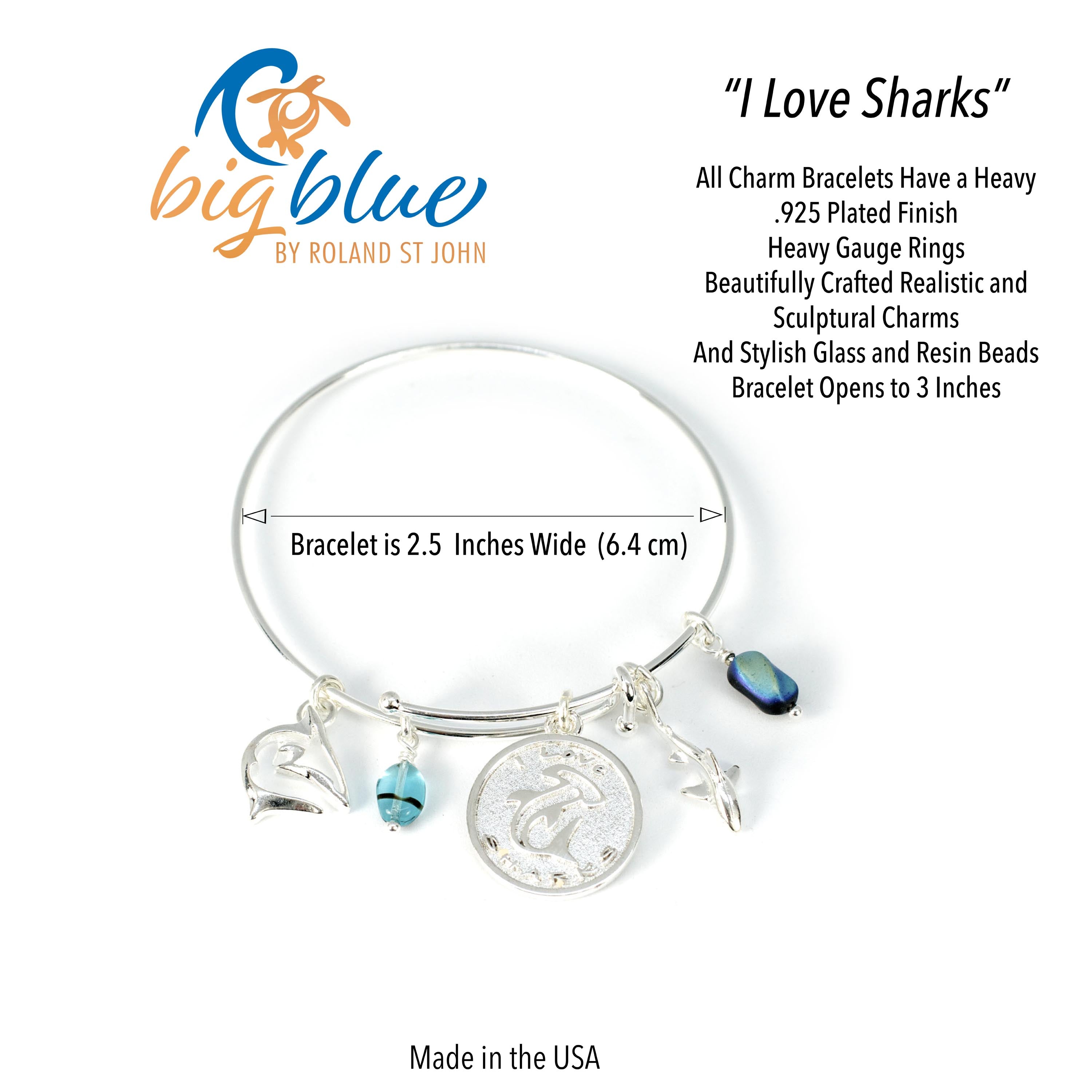 Silver bracelet with charms on a white background, featuring 'big blue' branding.