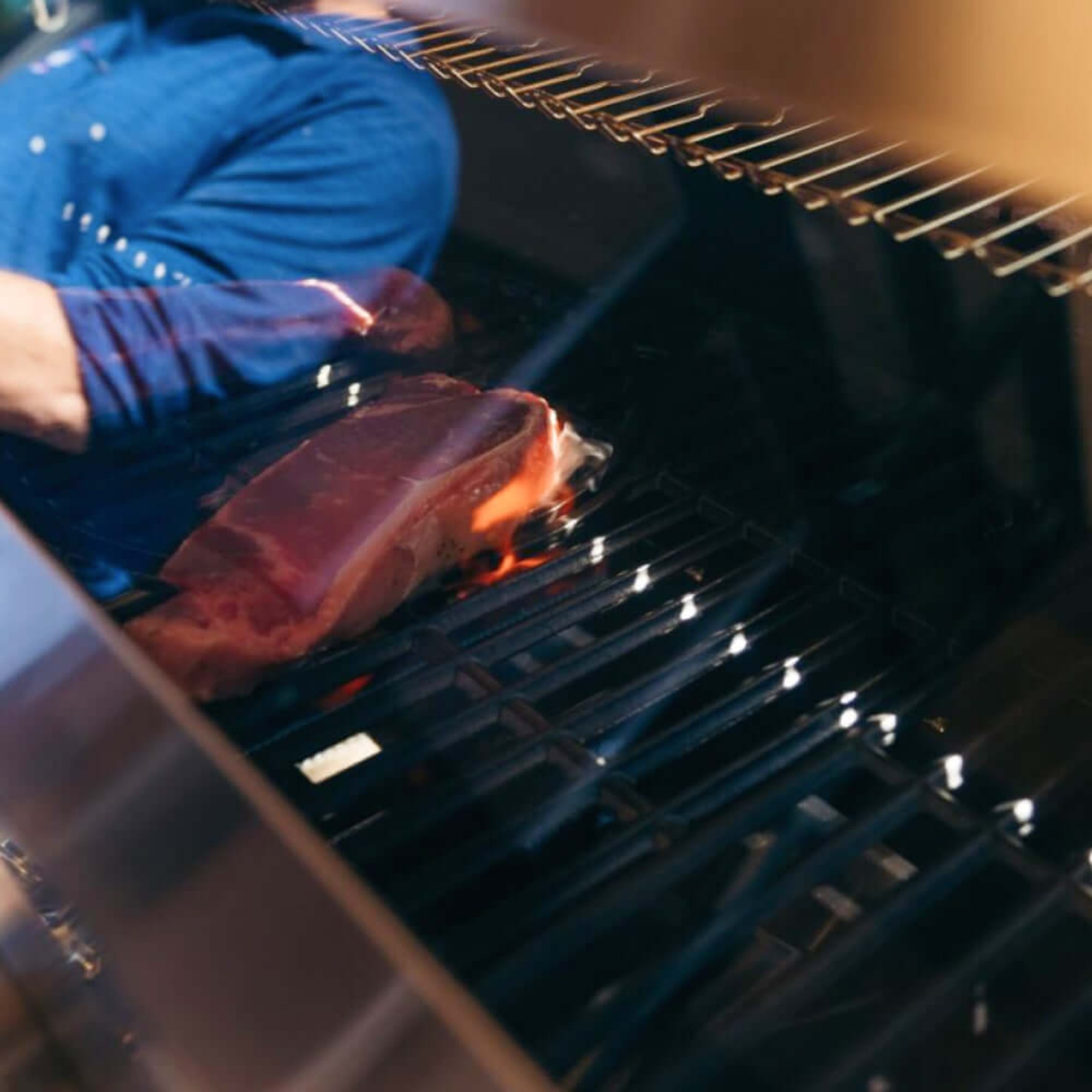 Denali 605 - Stainless Smart Tech Natural/Propane Gas Grill