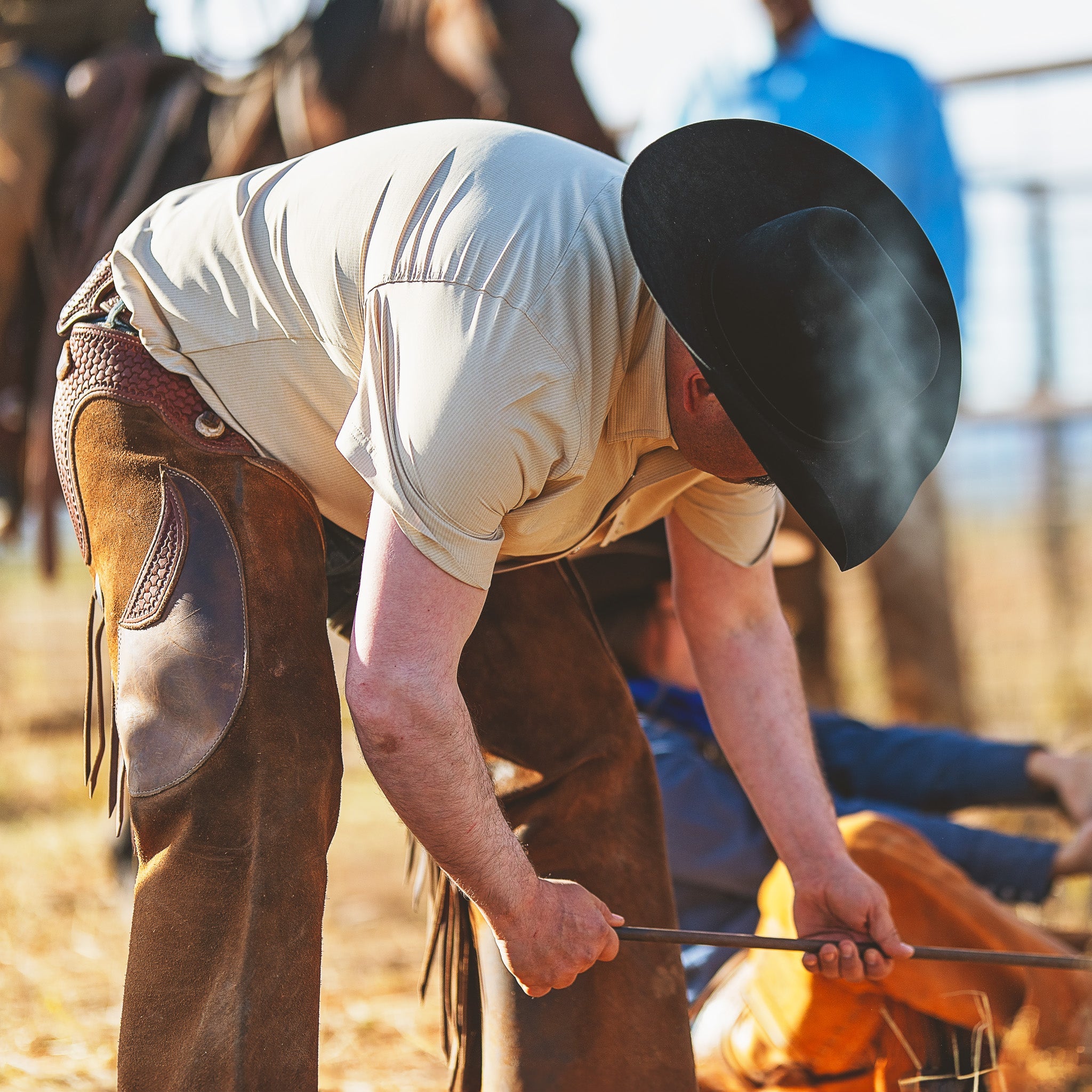 Man in cowboy hat and chaps adjusting a horse's bridle in an outdoor setting