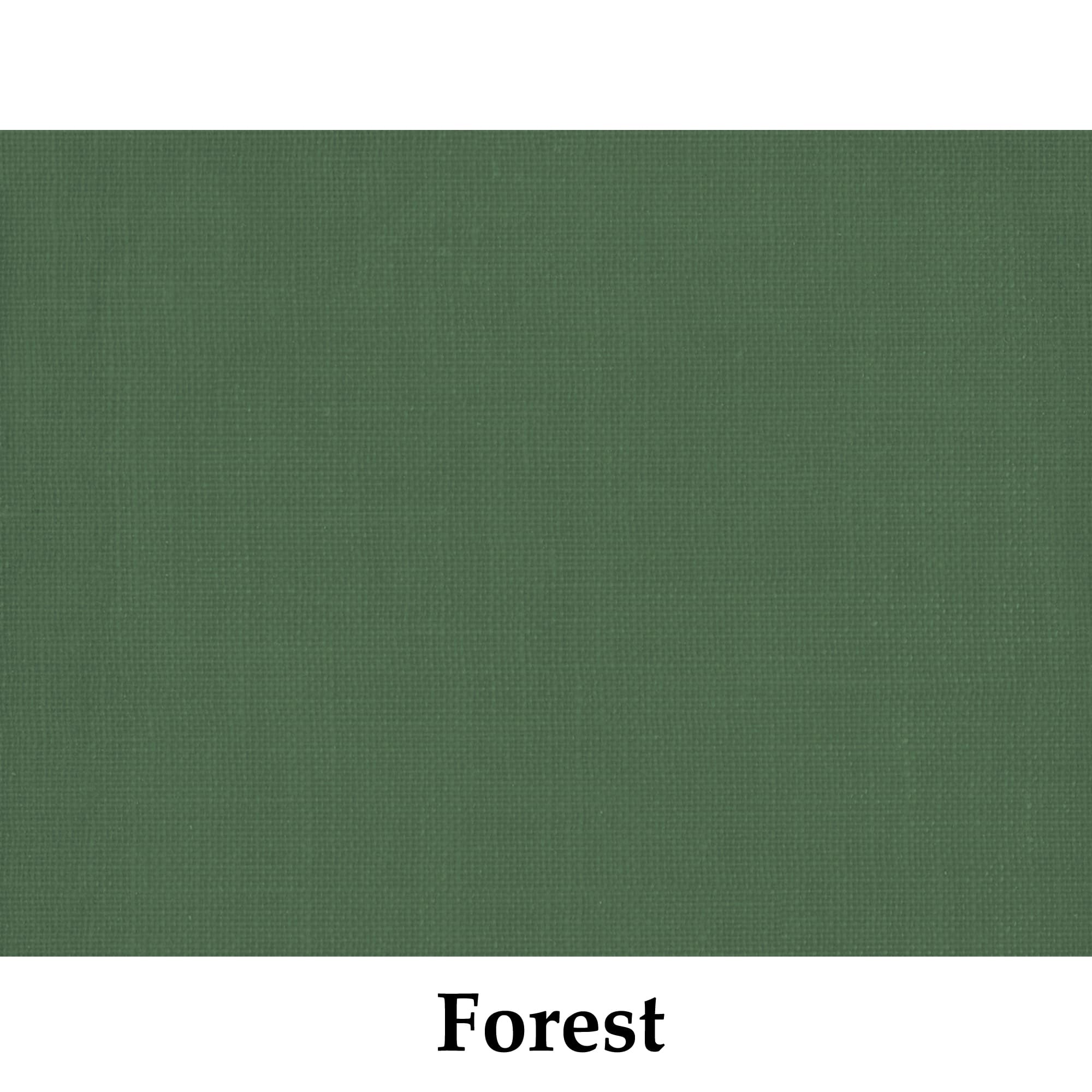 Solid forest green color swatch with the word 'Forest' below it on a white background
