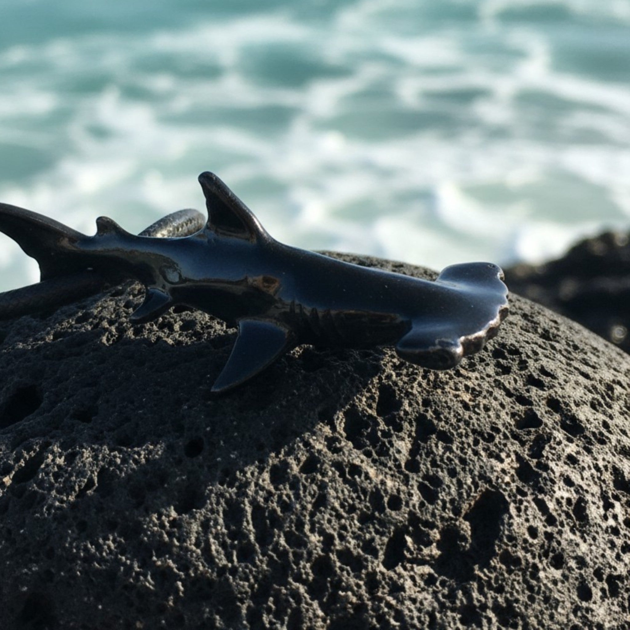 Small shark on a rock with ocean in the background