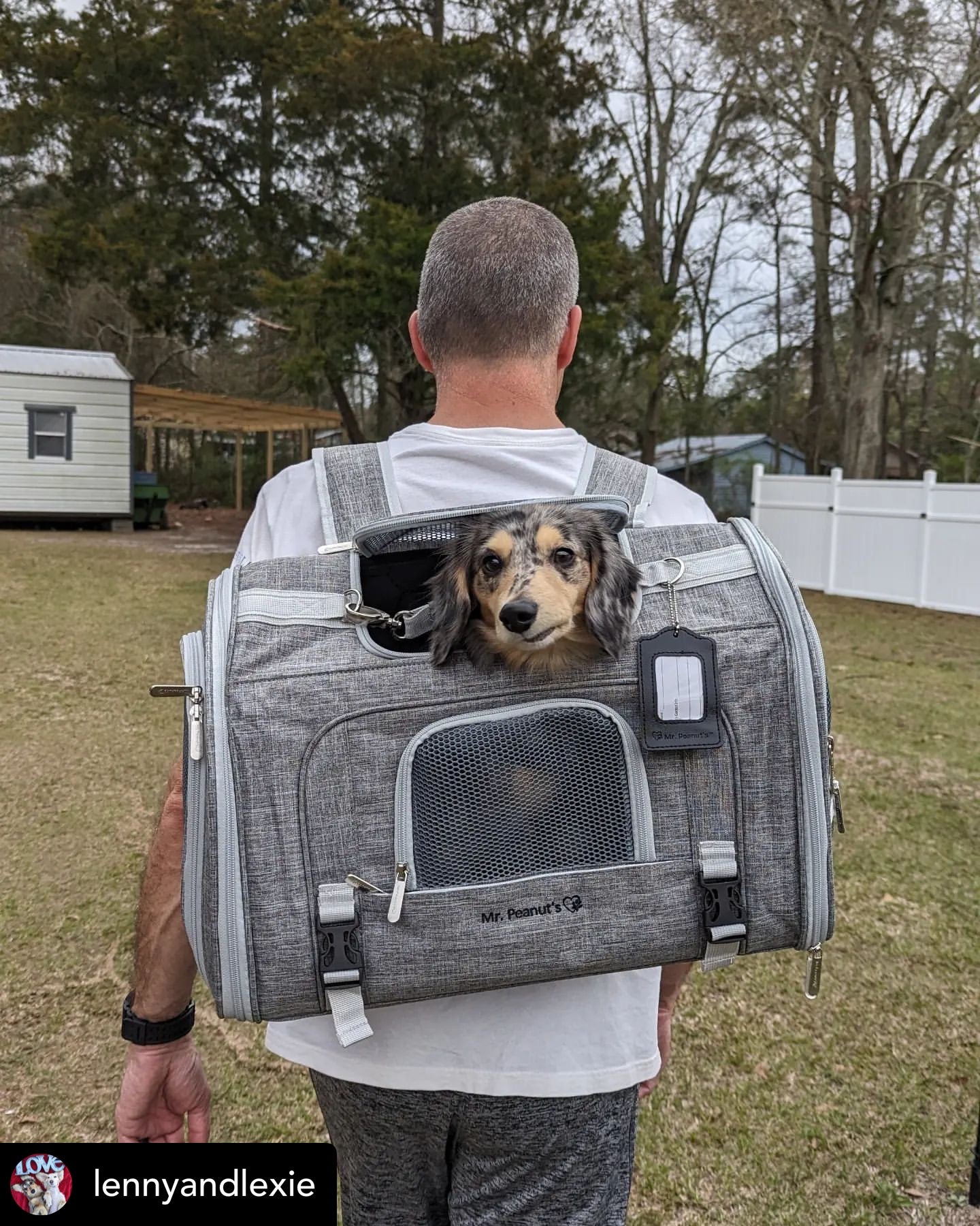 Person carrying a pet carrier with a dog peeking out outdoors.