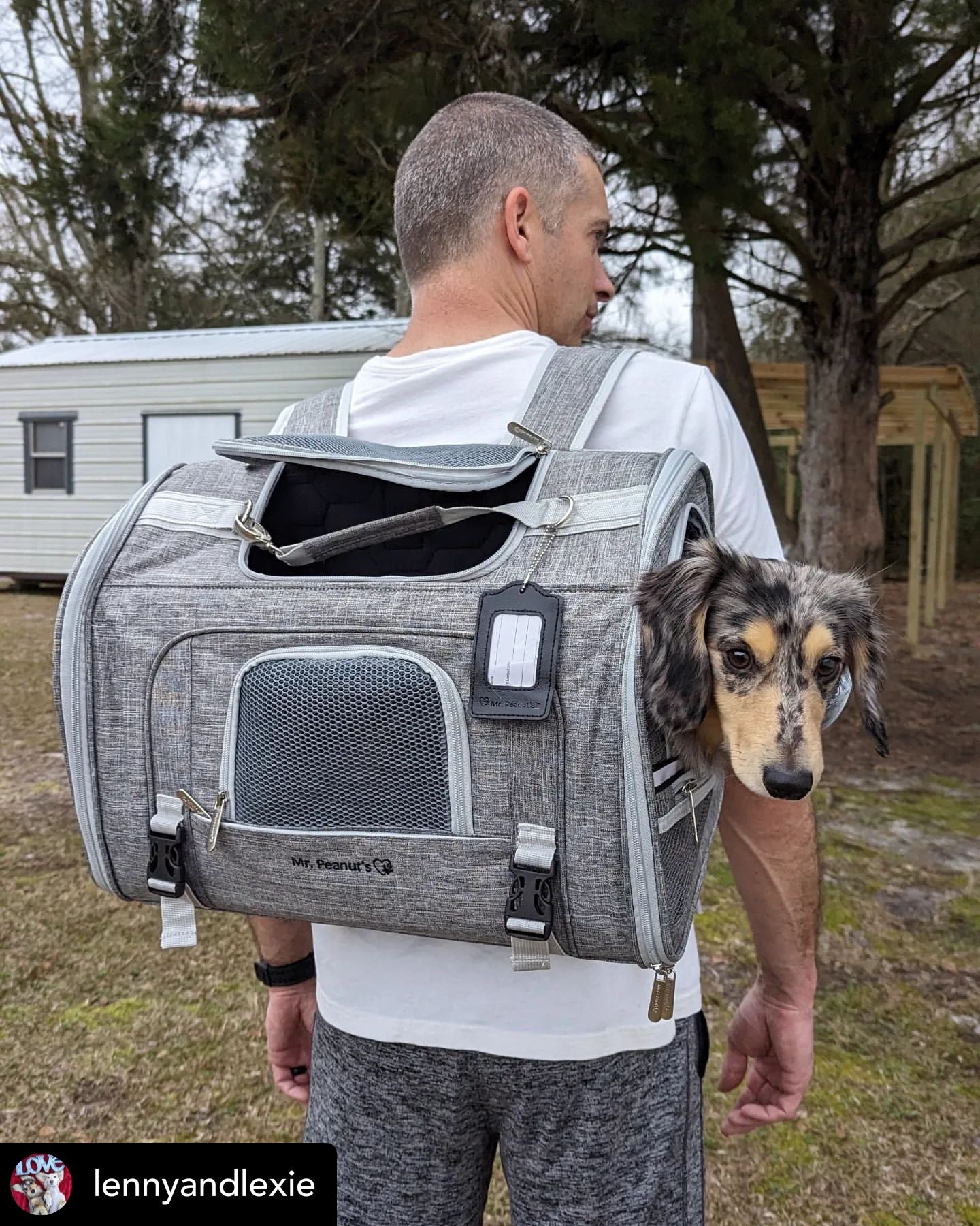 Man carrying a gray pet carrier with a small dog peeking out outdoors.