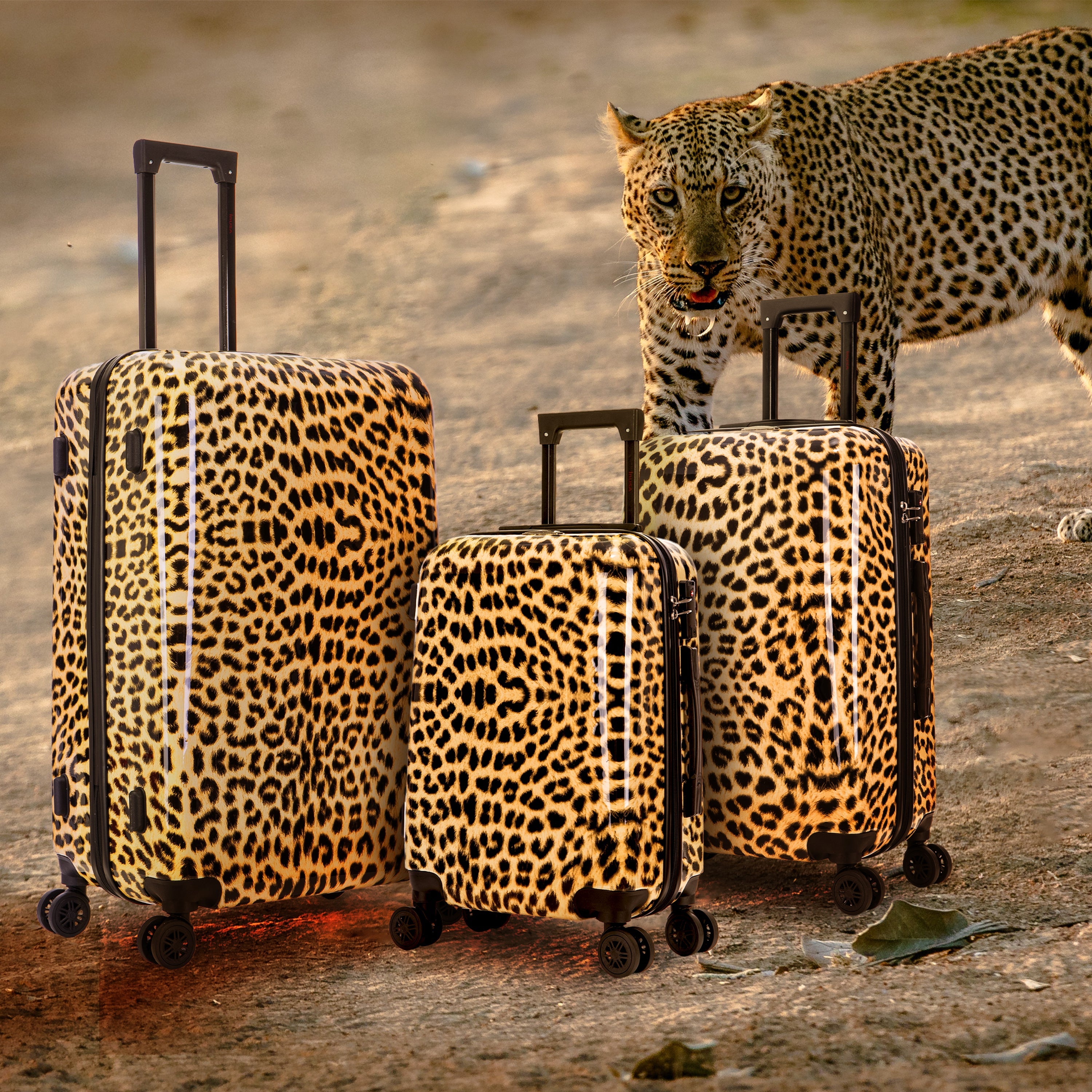 Leopard print suitcases on a natural background with a leopard in the background.