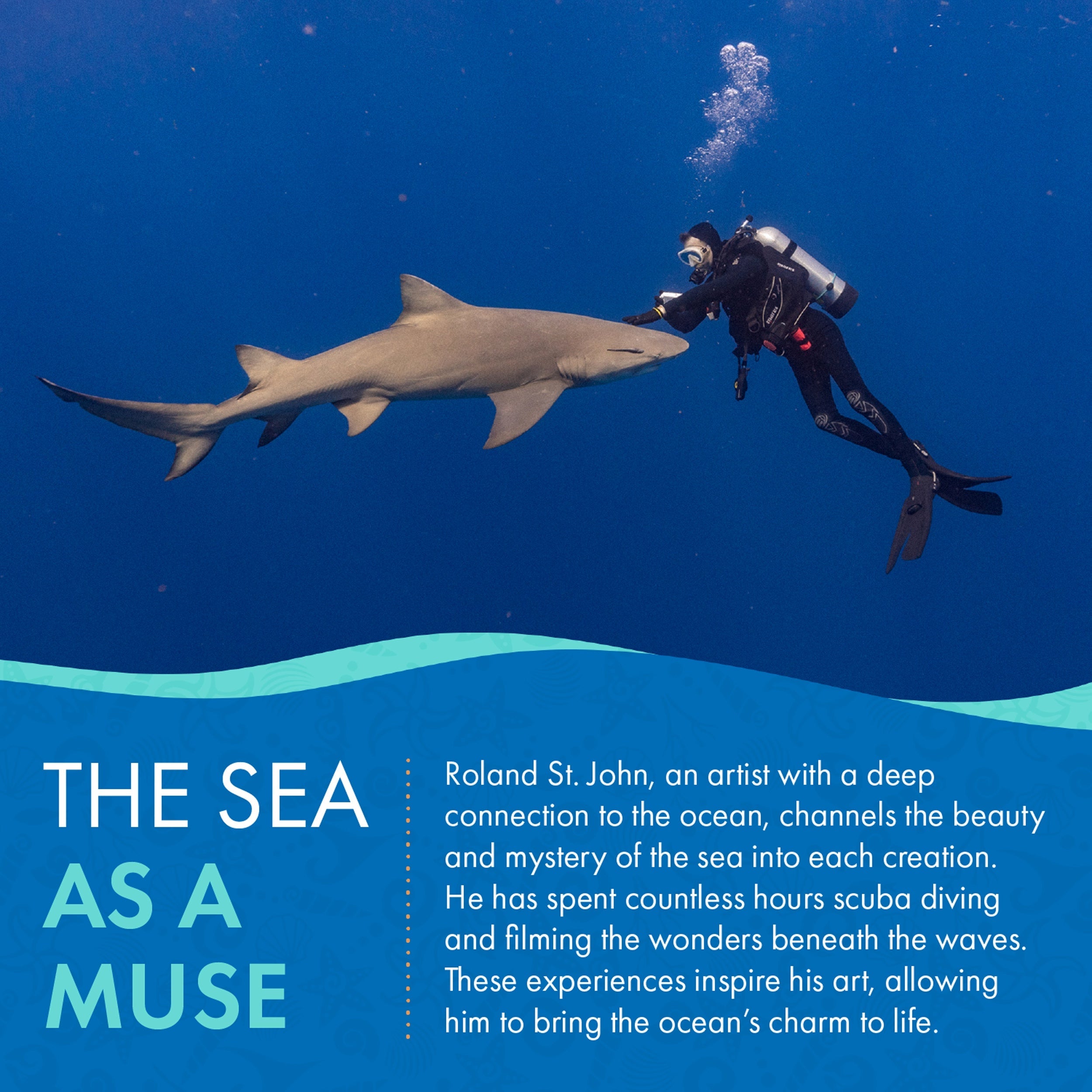 Diver interacting with a shark underwater with text about an artist's connection to the ocean.