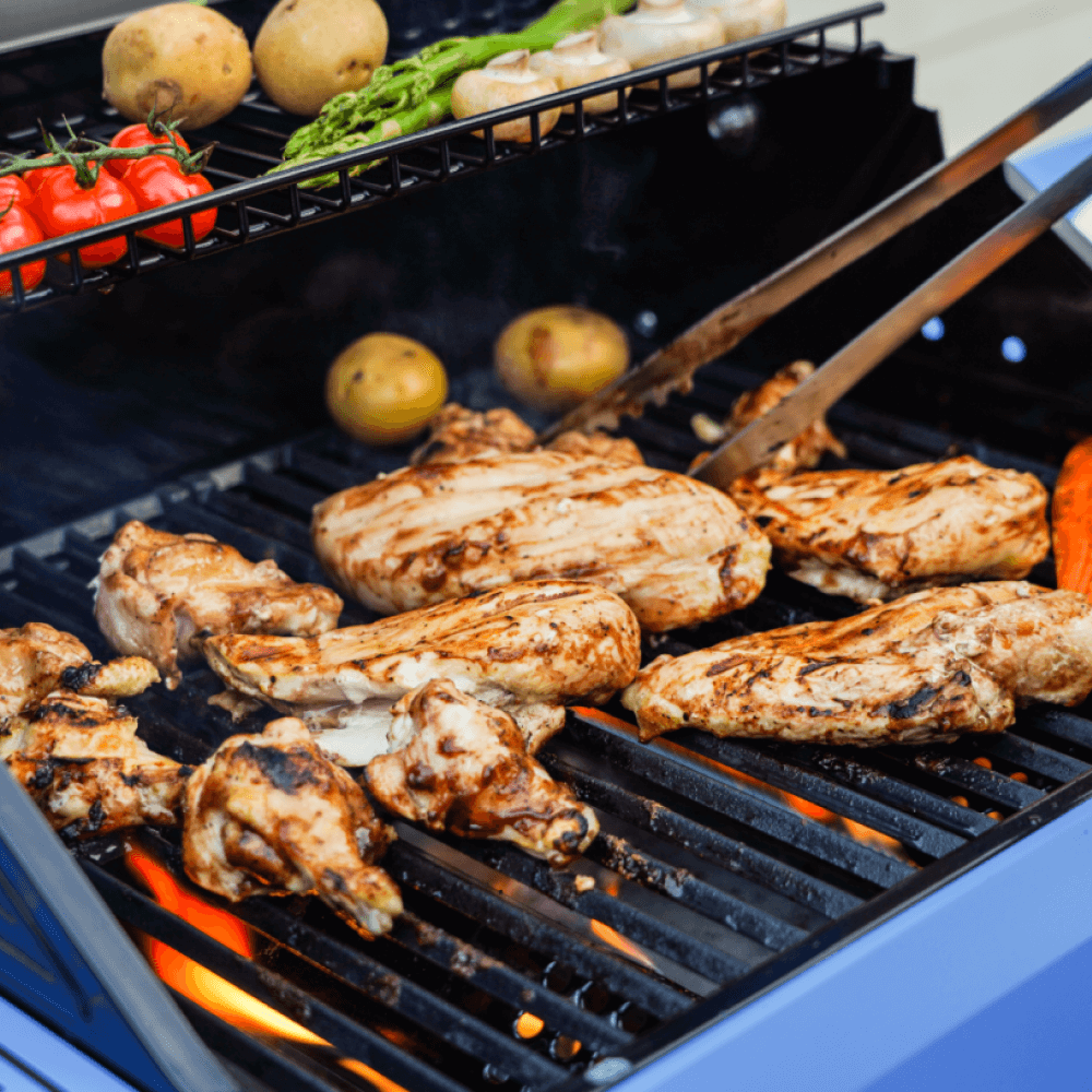 Monument Grill Mesa 200S - Stainless Propane Gas Grill