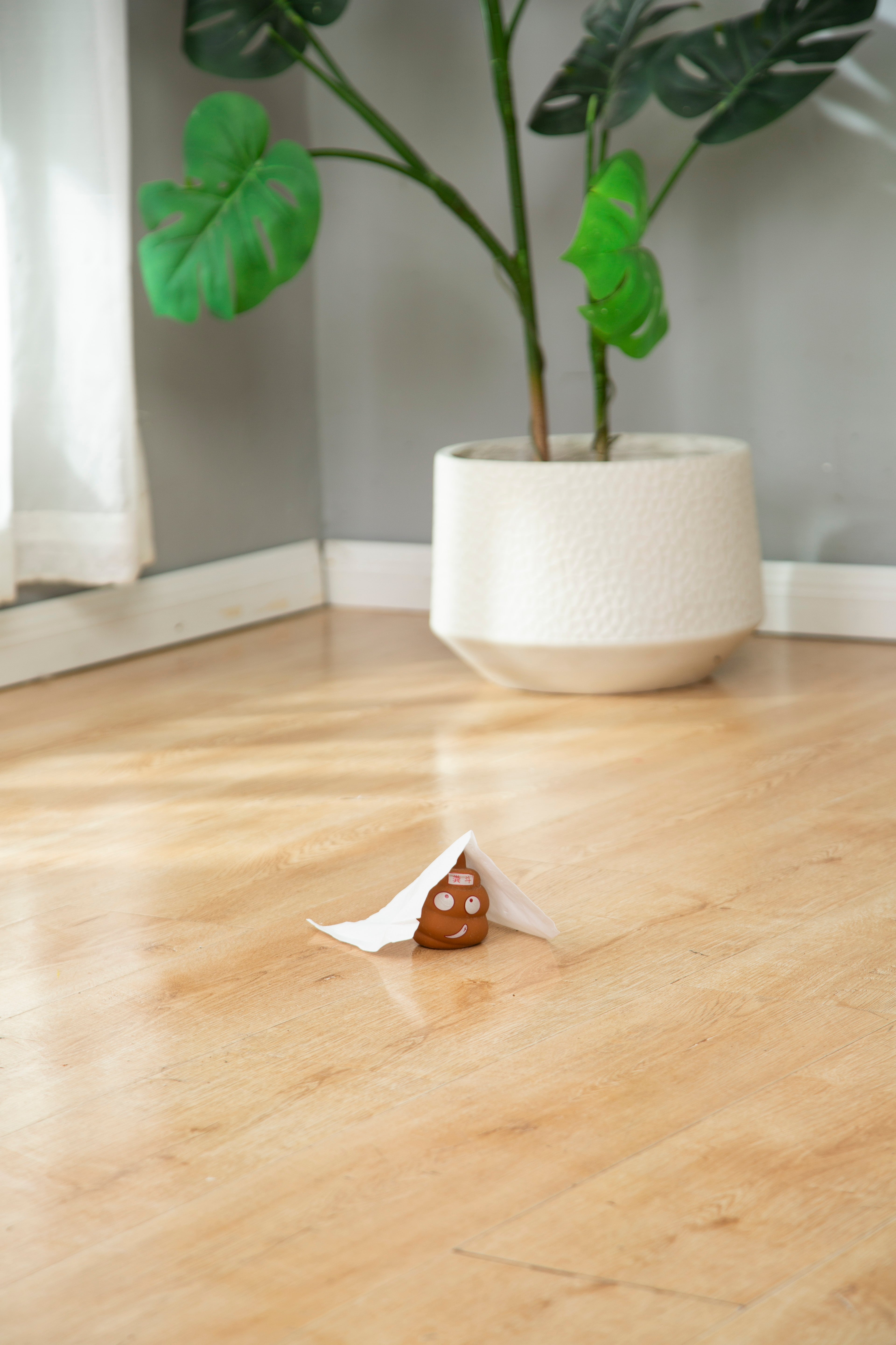 Small brown toy bear on a piece of white paper on a wooden floor with a potted plant in the background.