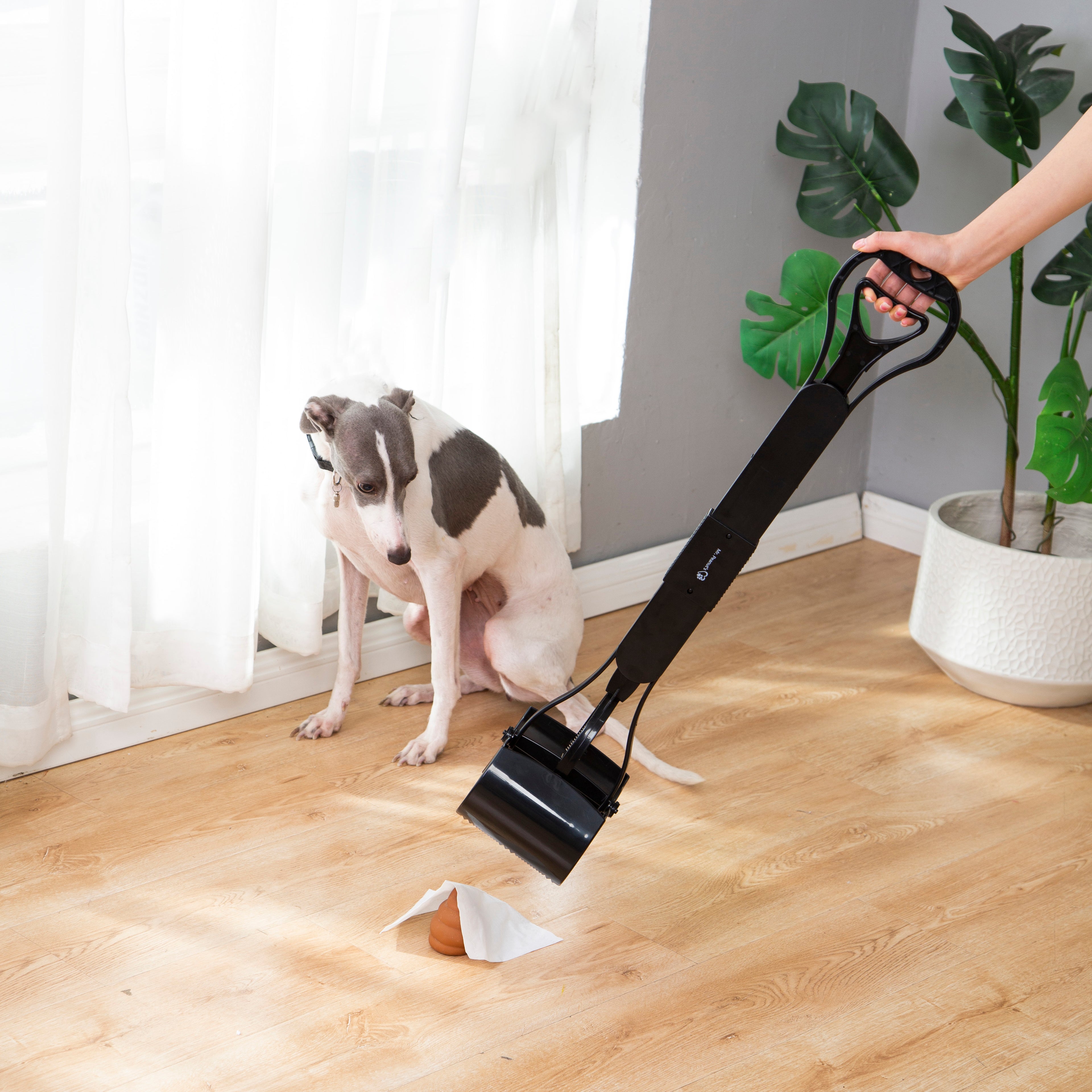 Person using a pet waste picker on a wooden floor with a dog watching, indoor setting.
