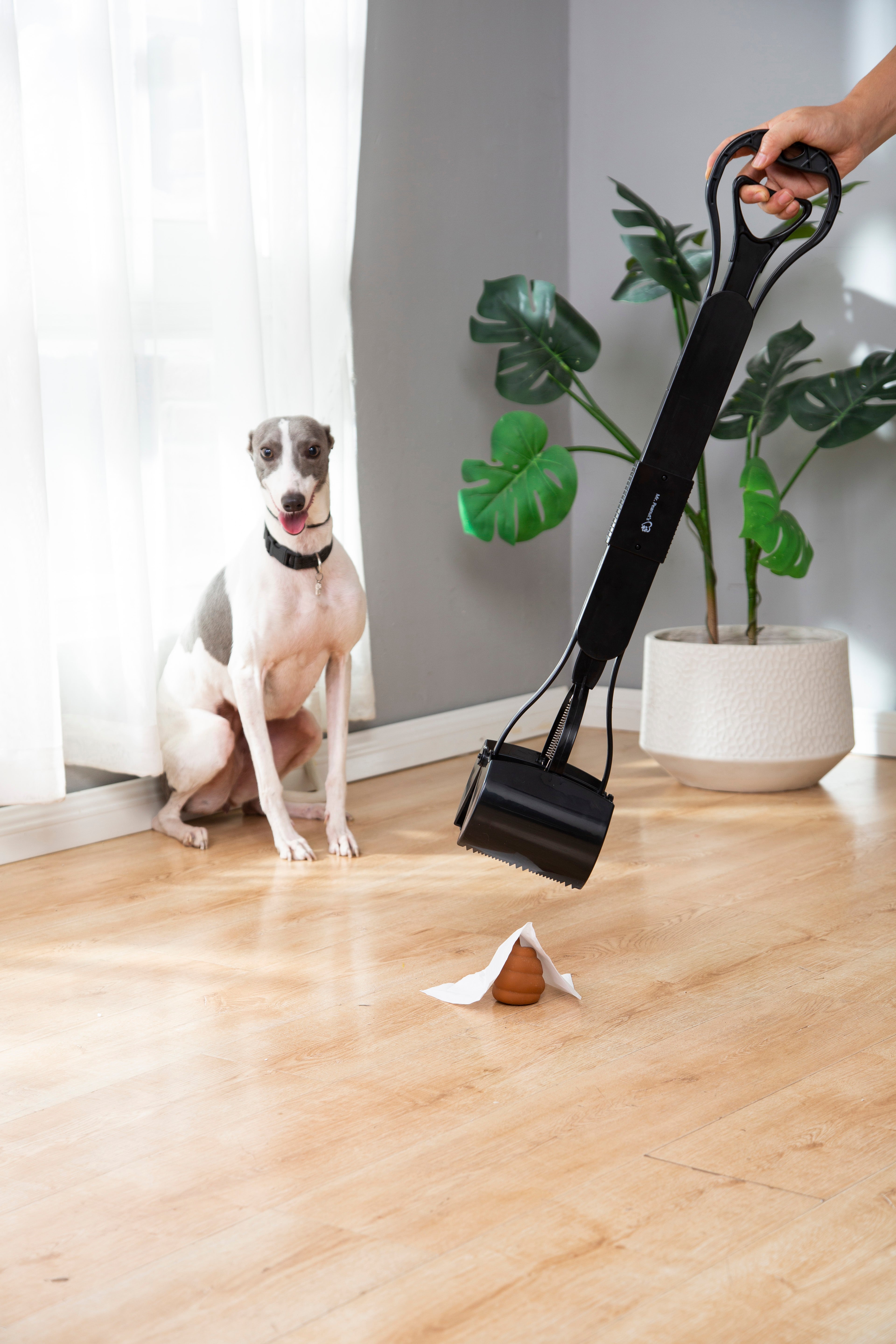 Dog sitting on a wooden floor with a pet hair removal tool and a small bag of collected hair.