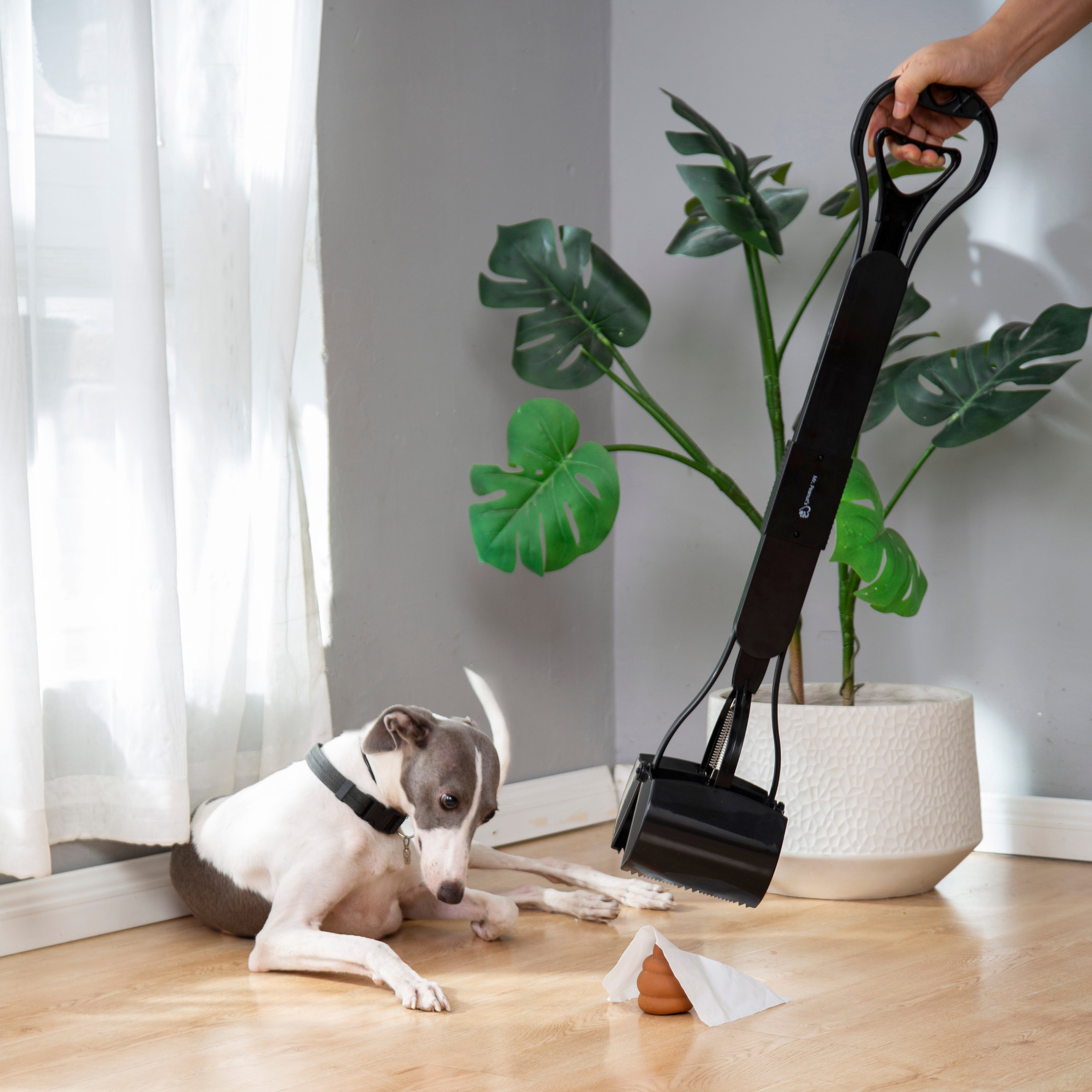 Dog cleaning tool being used on a wooden floor with a plant in the background