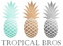 Three pineapples in turquoise, gold, and silver with 'Tropical Bros' text below.