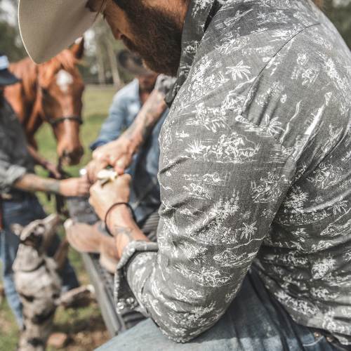Person in a patterned shirt and cowboy hat interacting with horses outdoors