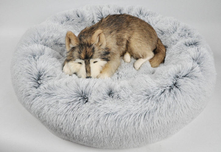 Dog lying on a fluffy gray pet bed against a white background