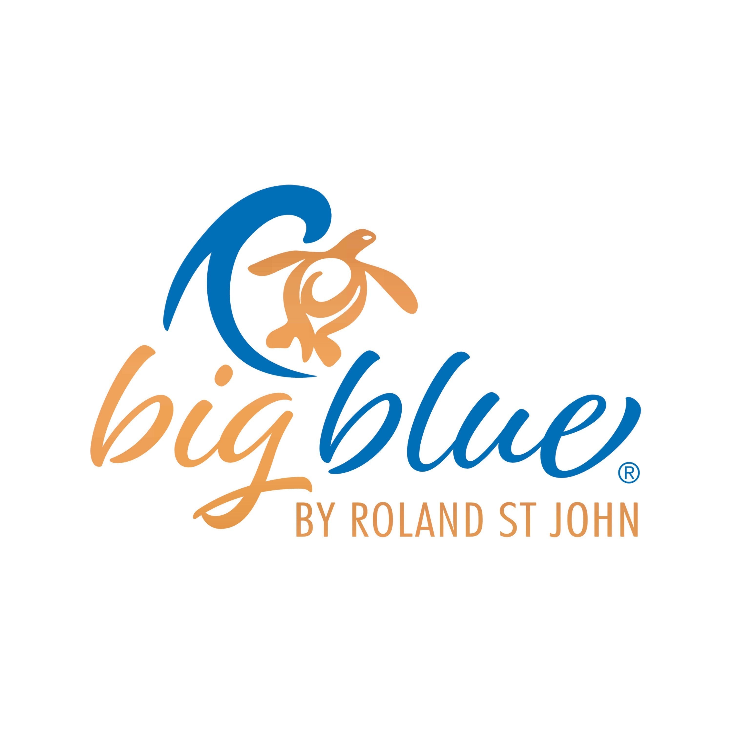 Logo of 'big blue by Roland St John' featuring a blue wave and orange turtle on a white background.