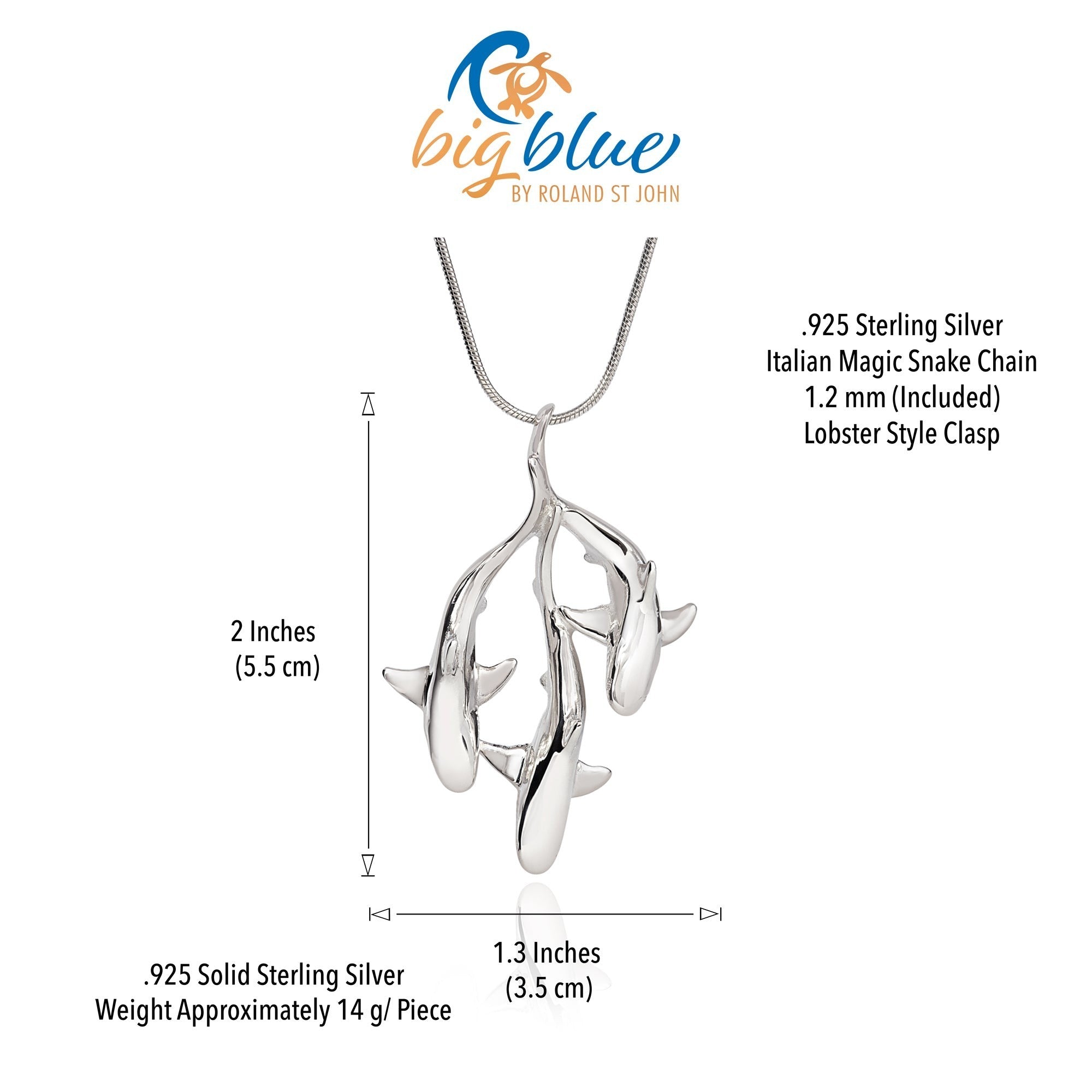 Silver necklace with lobster clasp and chain details on a white background, featuring 'big blue' branding.