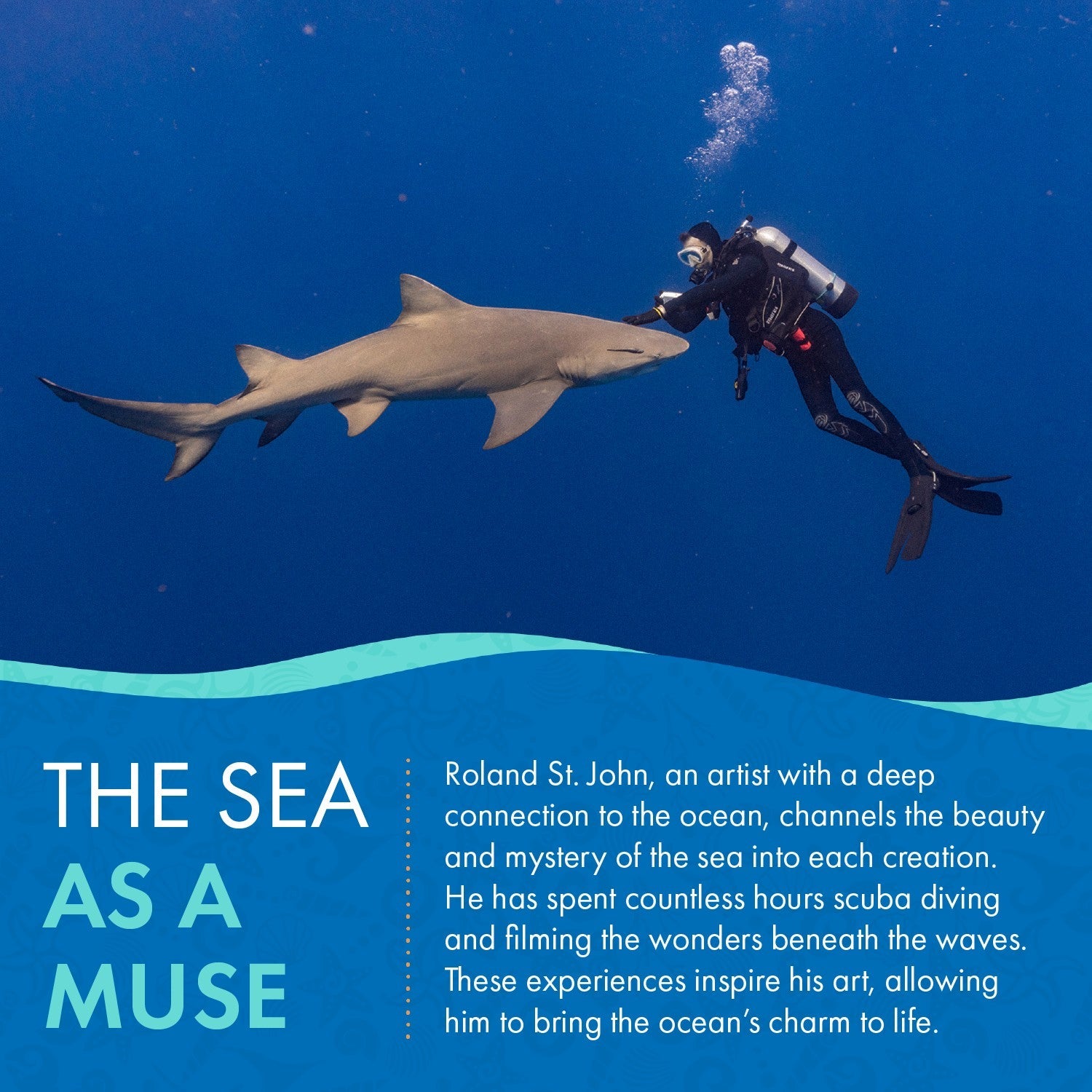 Diver interacting with a shark underwater with text about an artist's connection to the ocean.