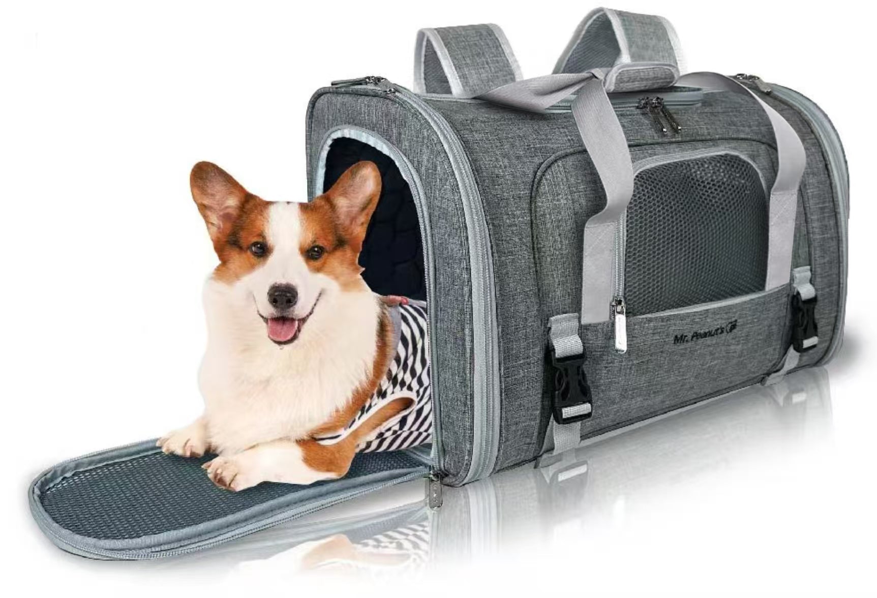 Dog inside a gray pet carrier with visible brand logo on a white background