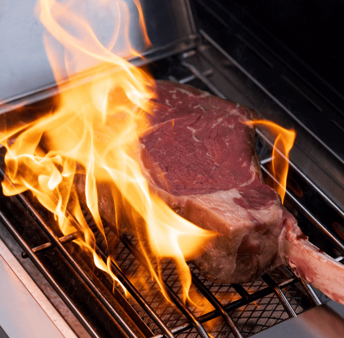 Eminence 405-Tech Stainless Propane Gas Grill