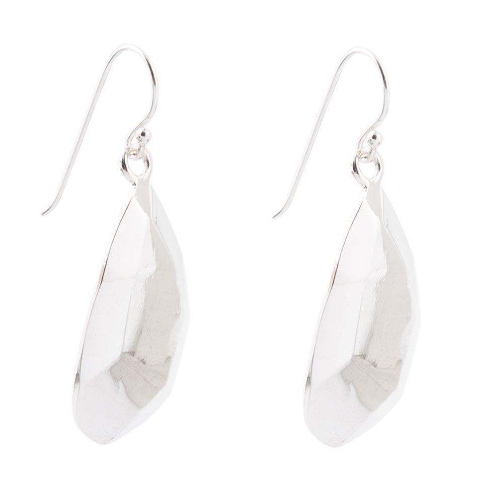 Pair of silver earrings on a white background