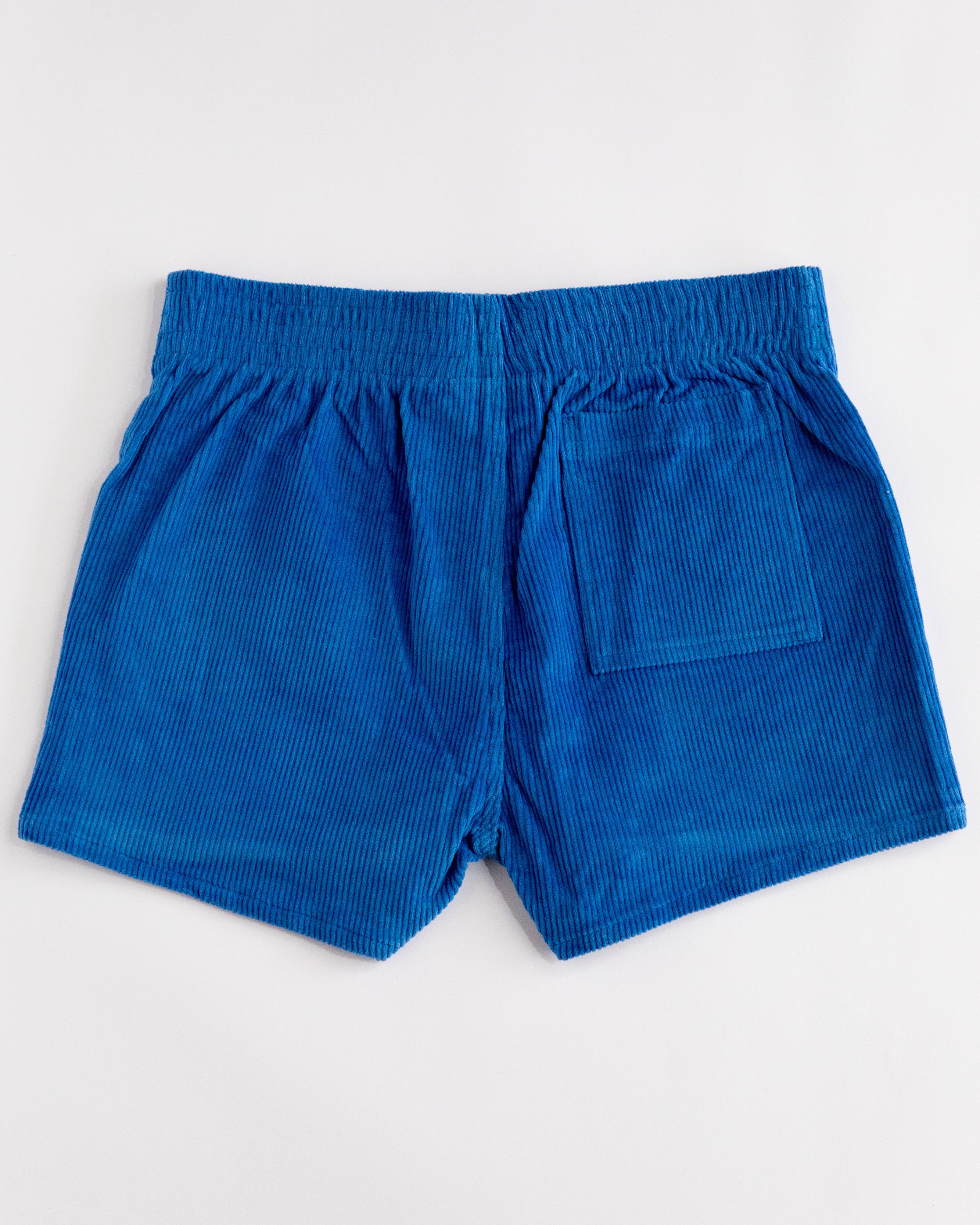 Hammies Men's Corduroy Short (Blue)
