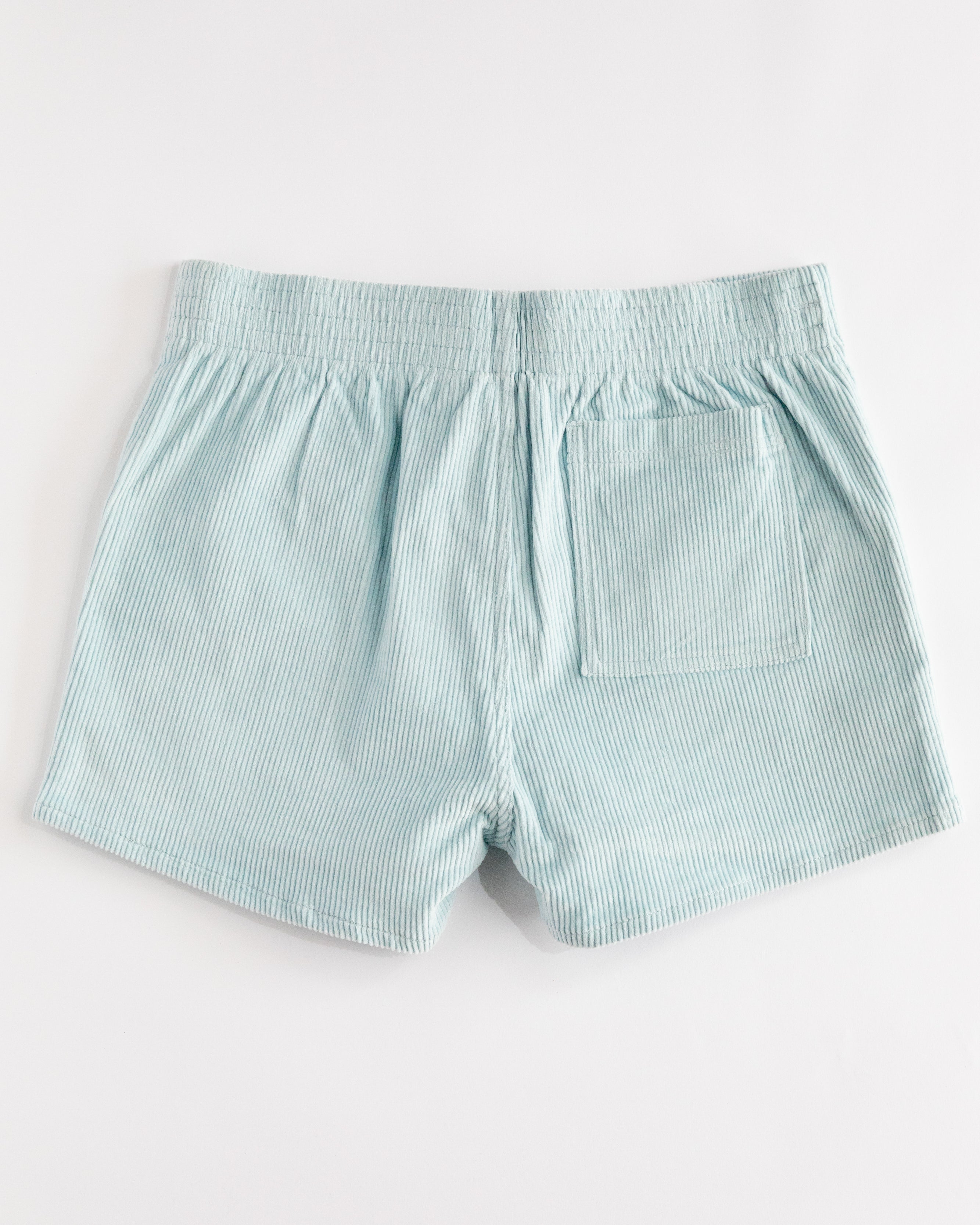 Hammies Men's Corduroy Short (Powder Blue)