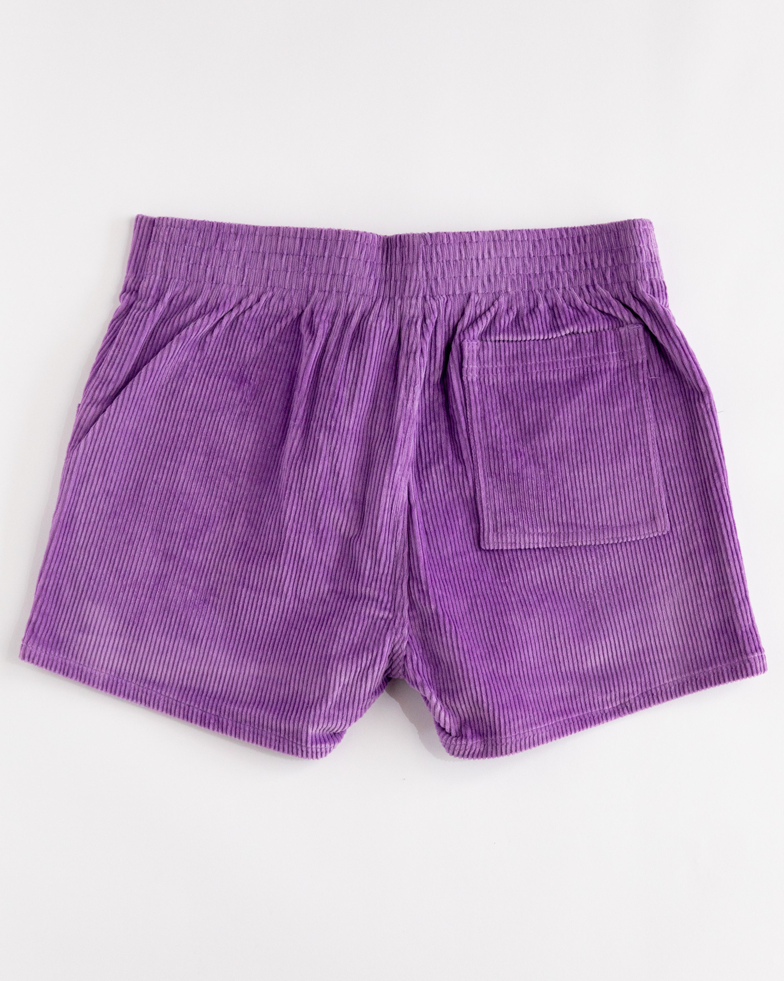 Hammies Men's Corduroy Short (Purple)