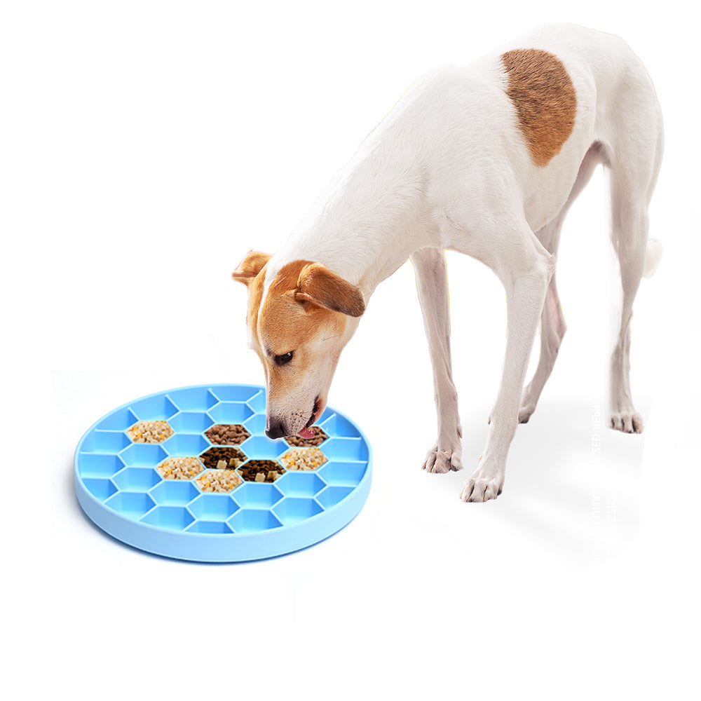 Dog eating from a blue treat puzzle feeder on a white background