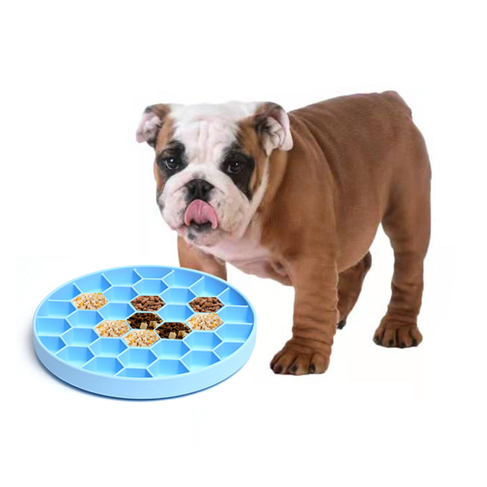 Dog standing next to a blue honeycomb-shaped treat dispenser on a white background