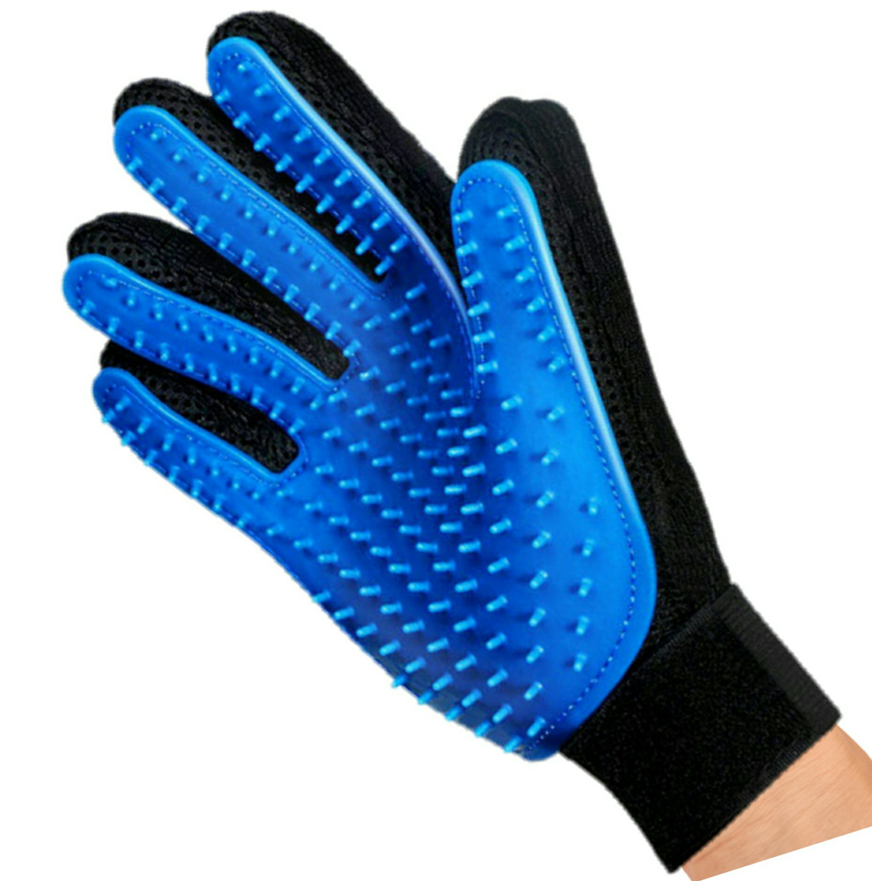Blue grooming glove with black cuffs on a white background